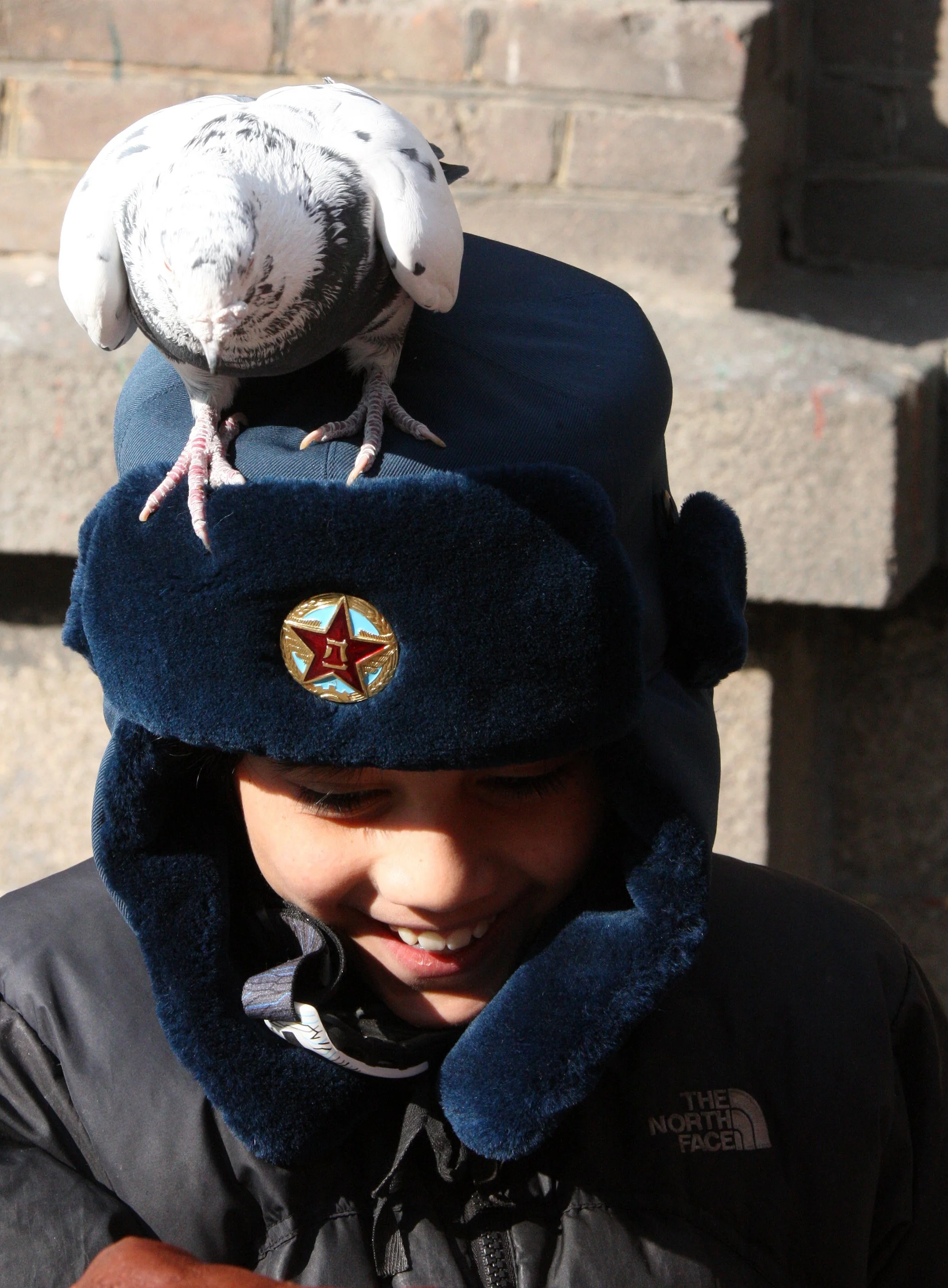 BIRD - PIGEON - HARBIN SAINT SOPHIA'S CATHEDRAL CHINA (52).JPG