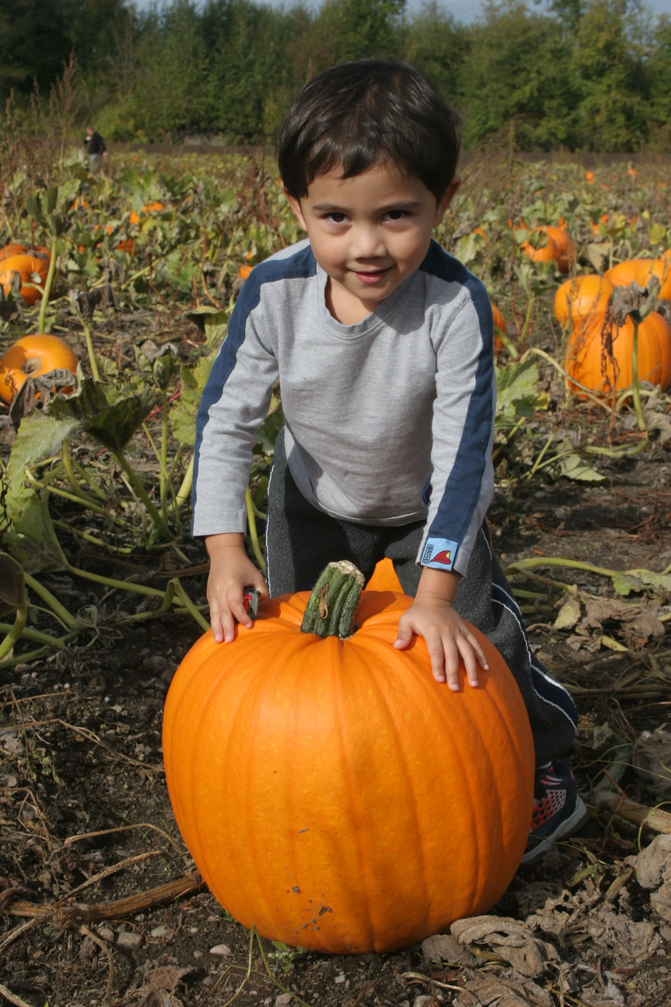 2005-6-9 PUMPKIN PATCH HALLOWEEN (4).JPG