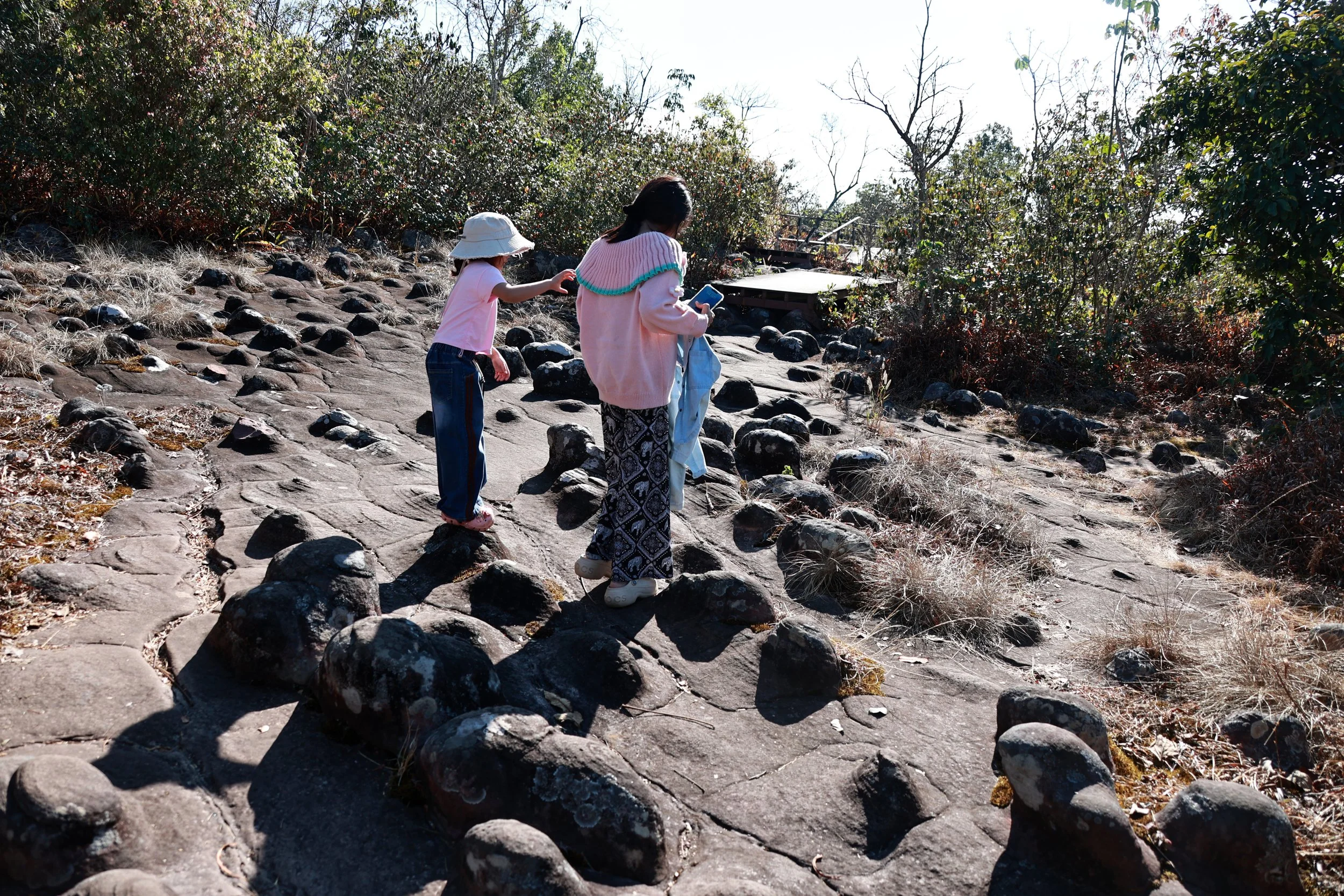 Phu Hin Rong Kla National Park Loei Province (51).jpg