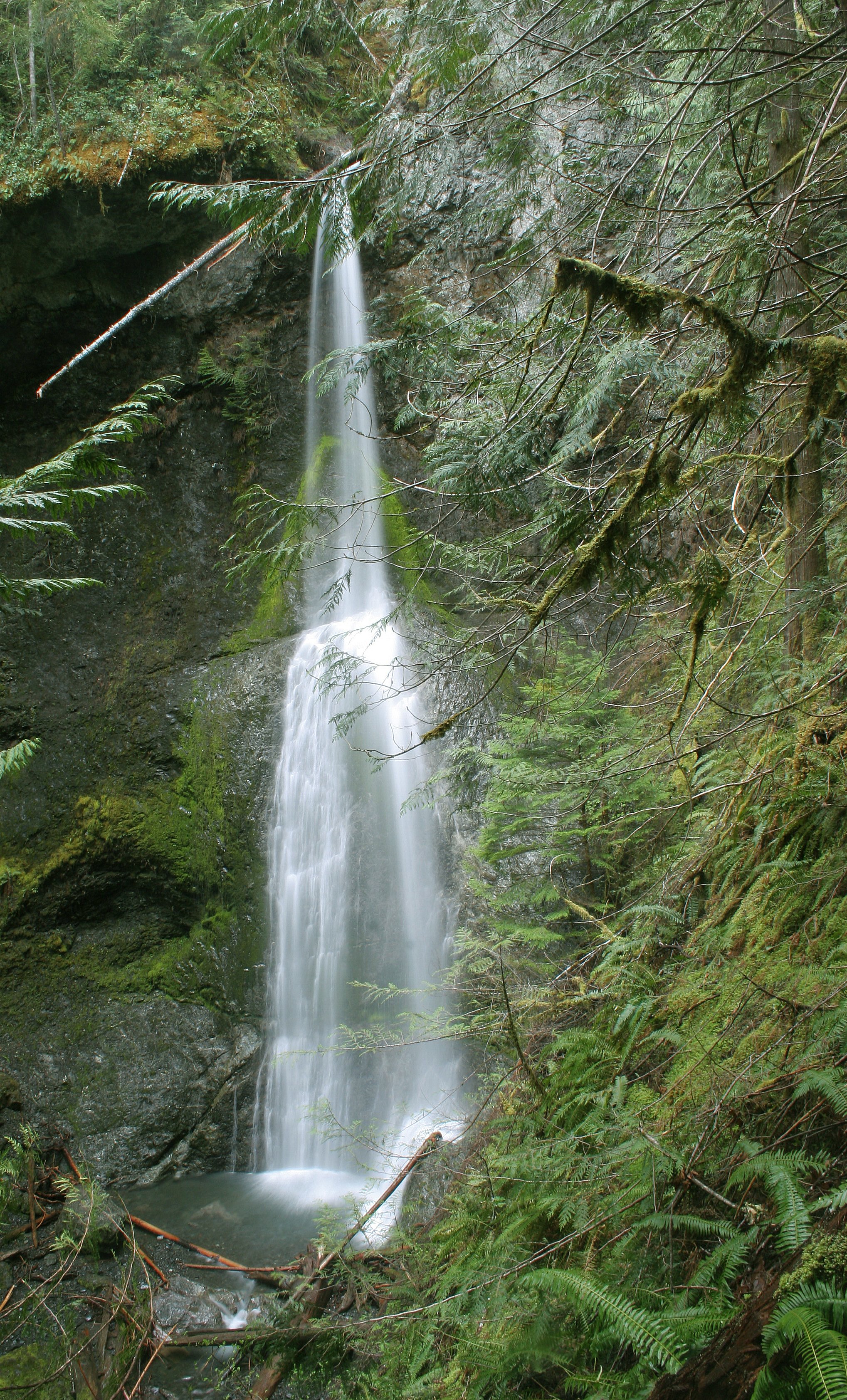 MARYMERE FALLS (22).JPG