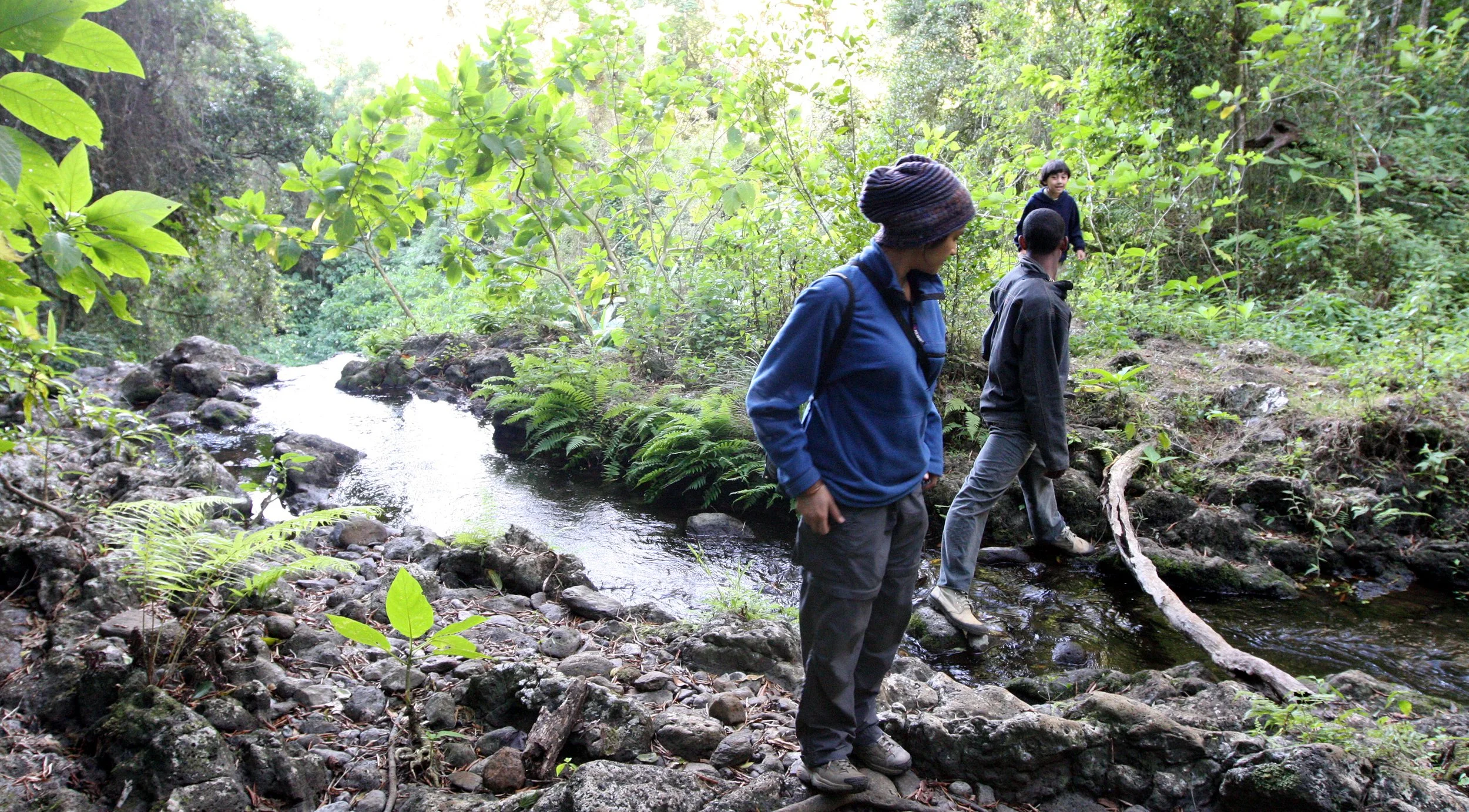 MONTAGNE D'AMBRE NATIONAL PARK - SACRED FALLS (18).JPG
