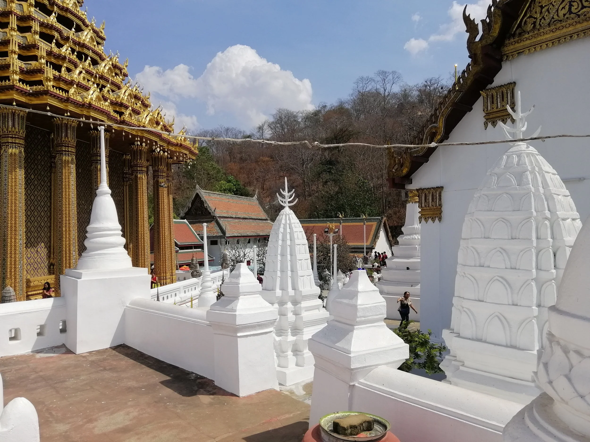 2020 Saraburi Wat Phra Phutthabat with Cokie (10).jpg