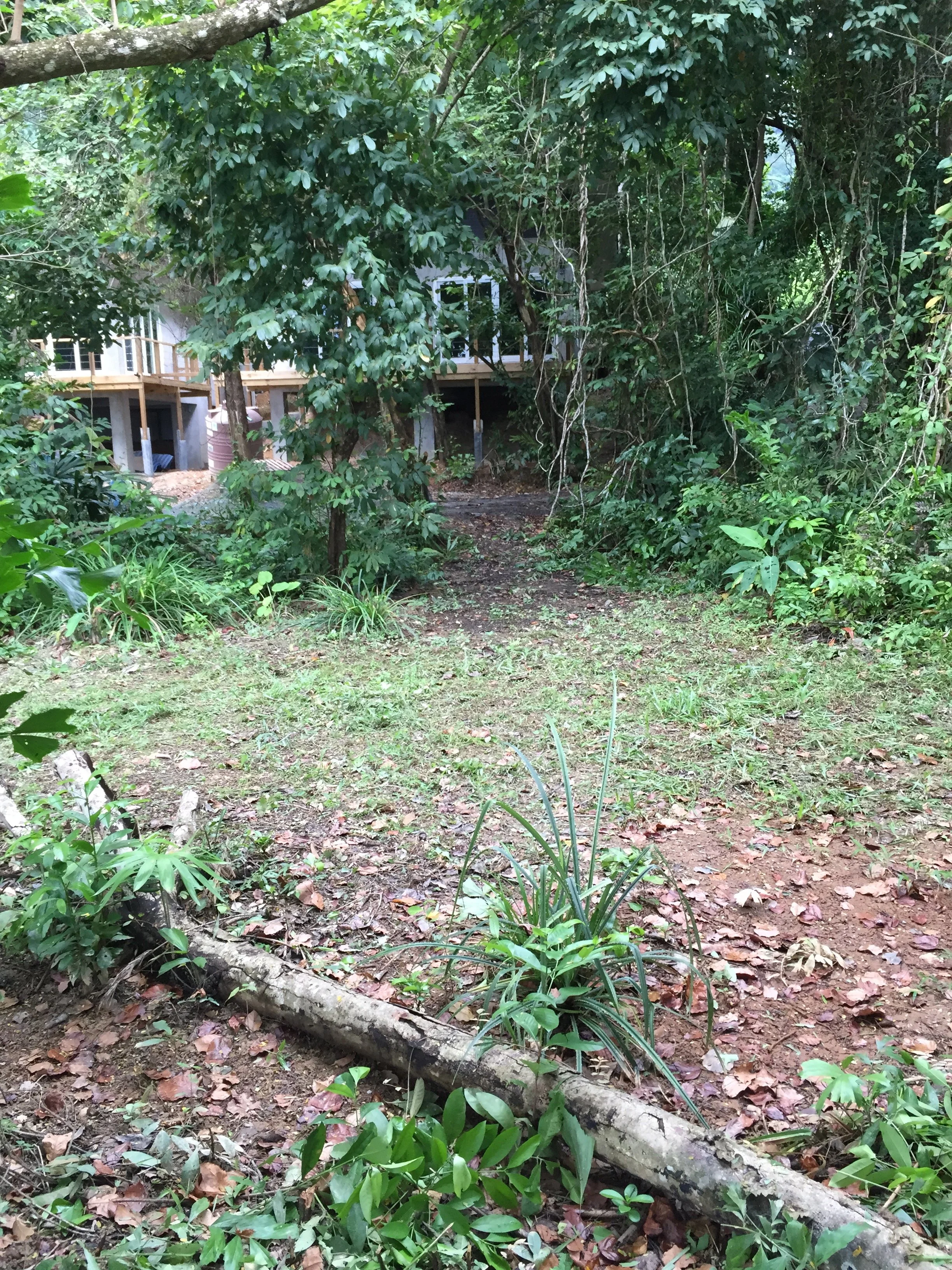 2015 Koh Lanta Garden & Nature (181).jpg