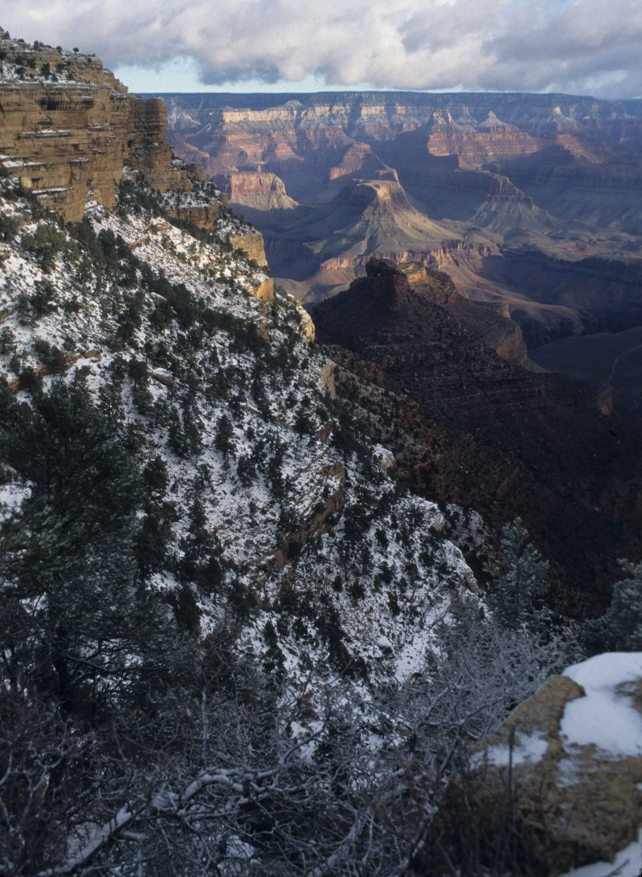 ARIZONA - GRAND CANYON - SOUTH RIM VIEW H.jpg