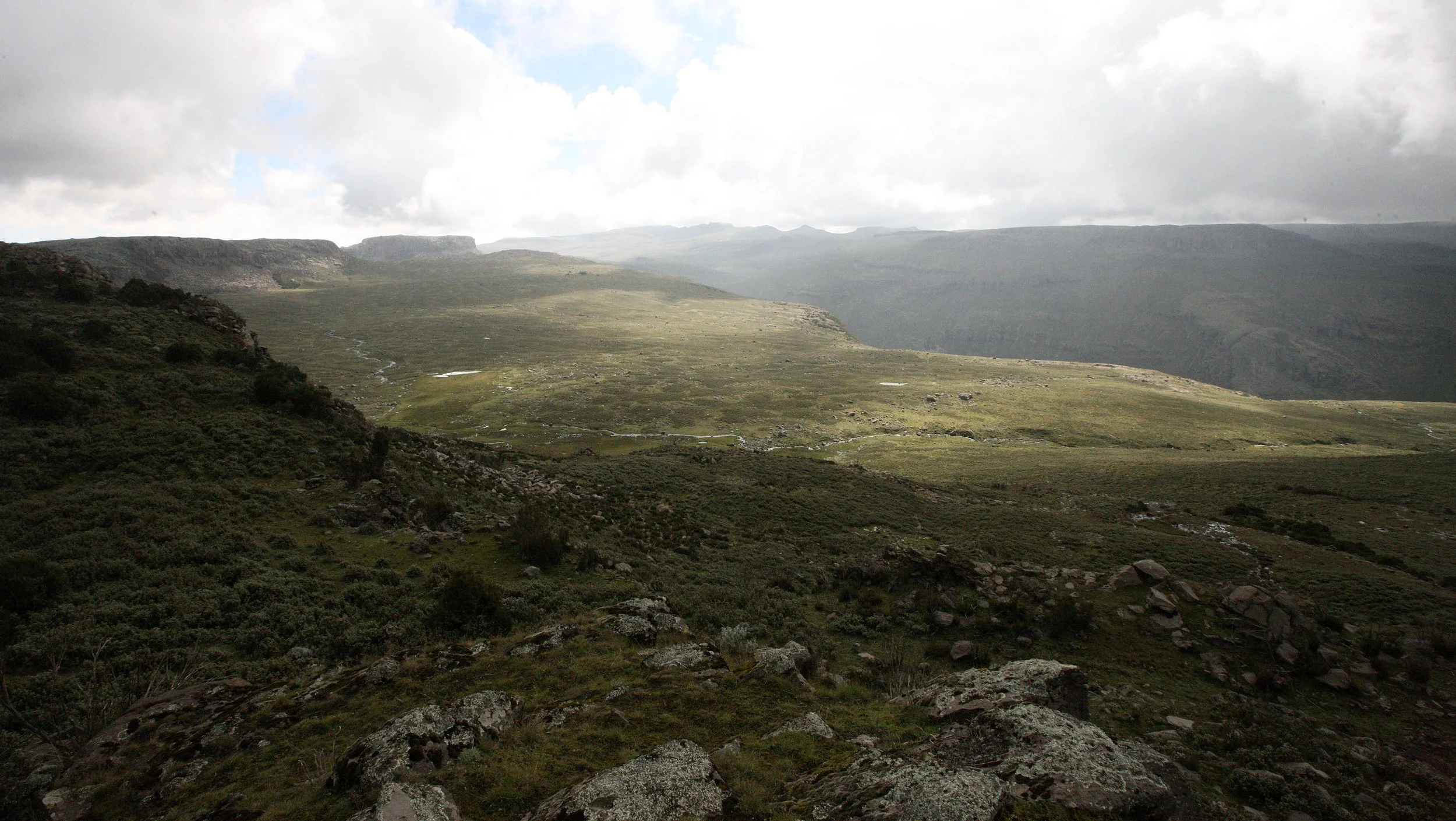 BALE MOUNTAINS NATIONAL PARK - SANETTI PLATEAU (40).JPG