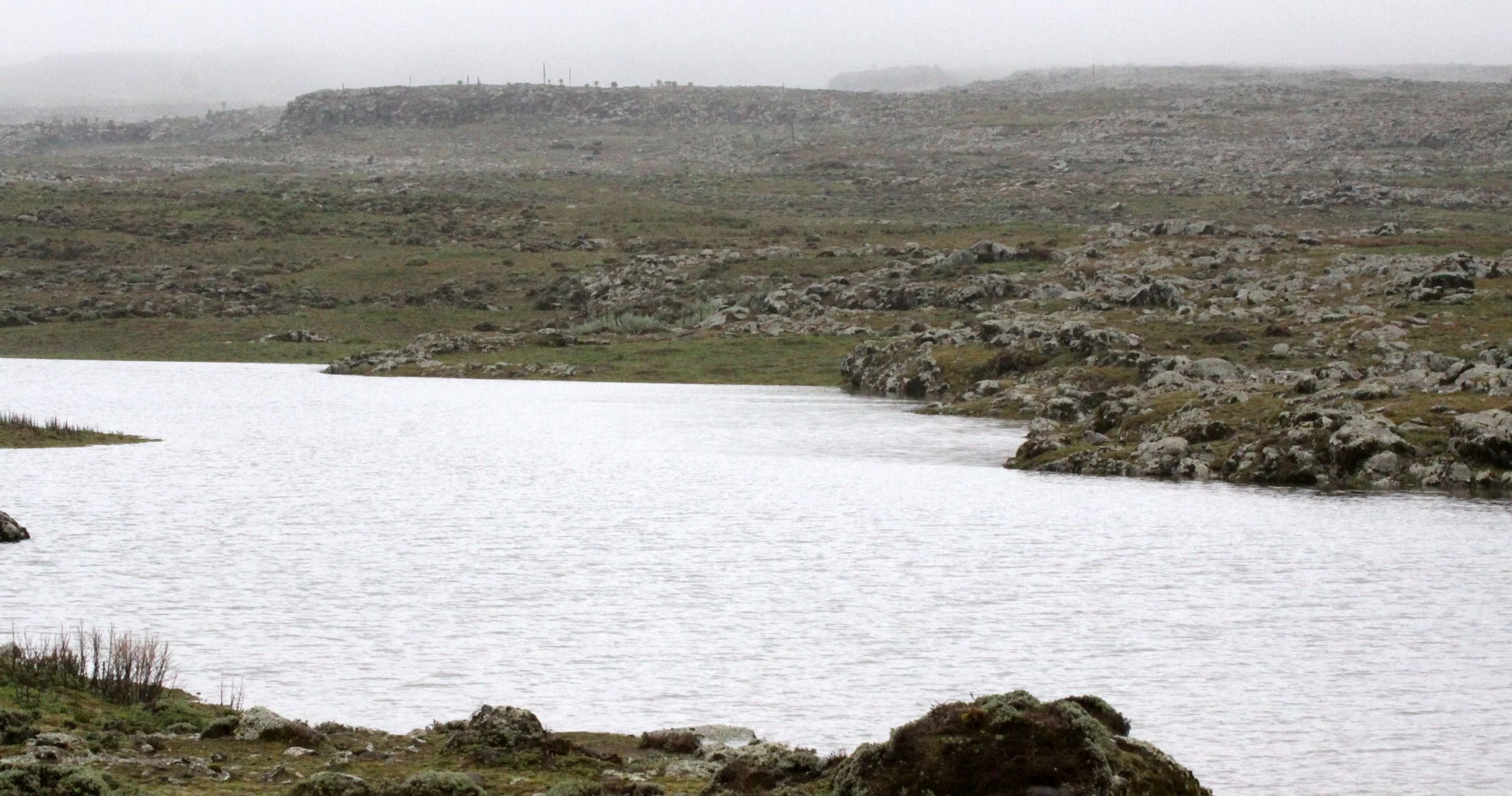 BALE MOUNTAINS NATIONAL PARK ETHIOPIA (45).JPG