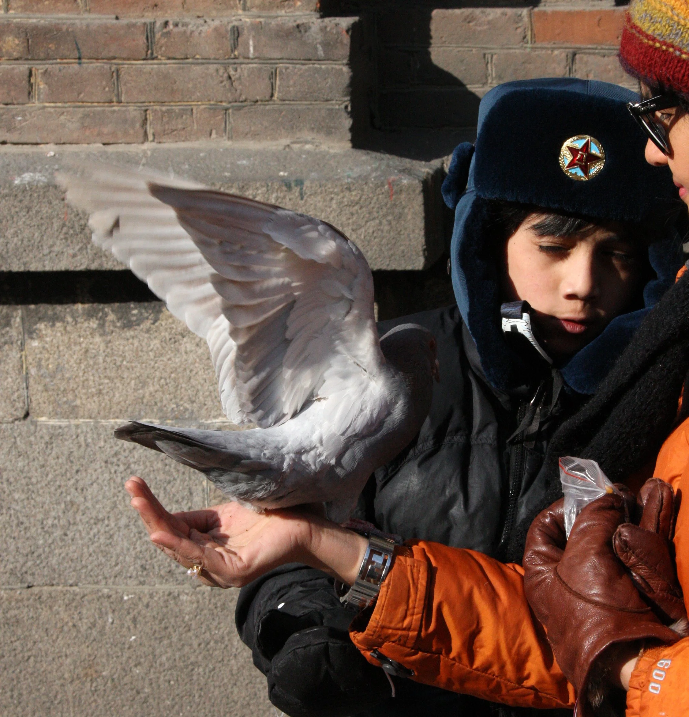 BIRD - PIGEON - HARBIN SAINT SOPHIA'S CATHEDRAL CHINA (20).JPG