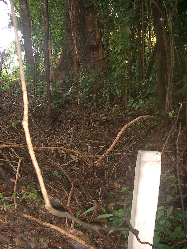 KOH LANTA - PROPERTY - 2004 (68).JPG