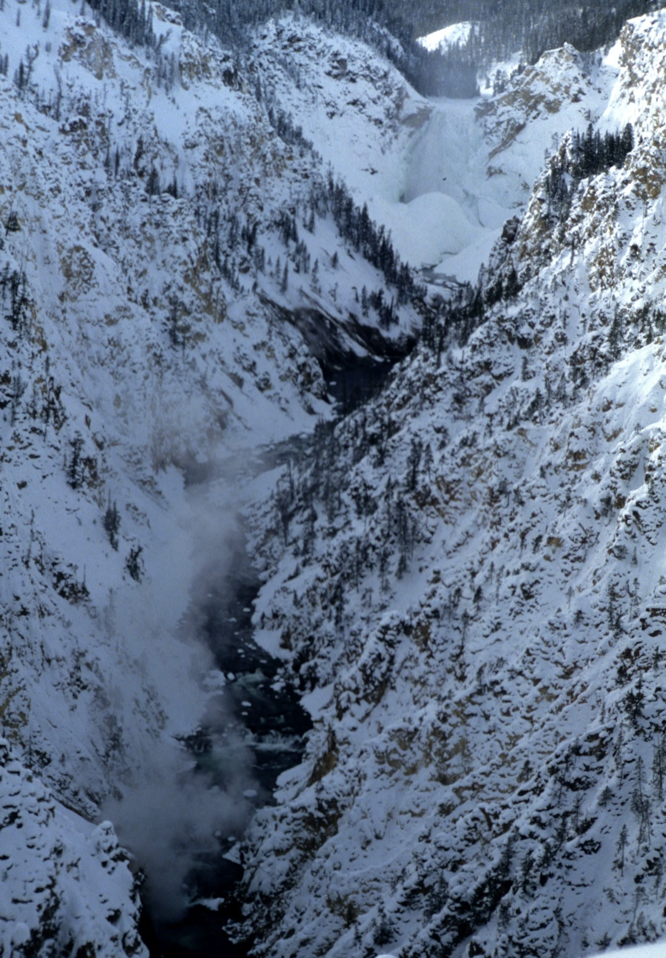YELLOWSTONE IN WINTER AA.jpg