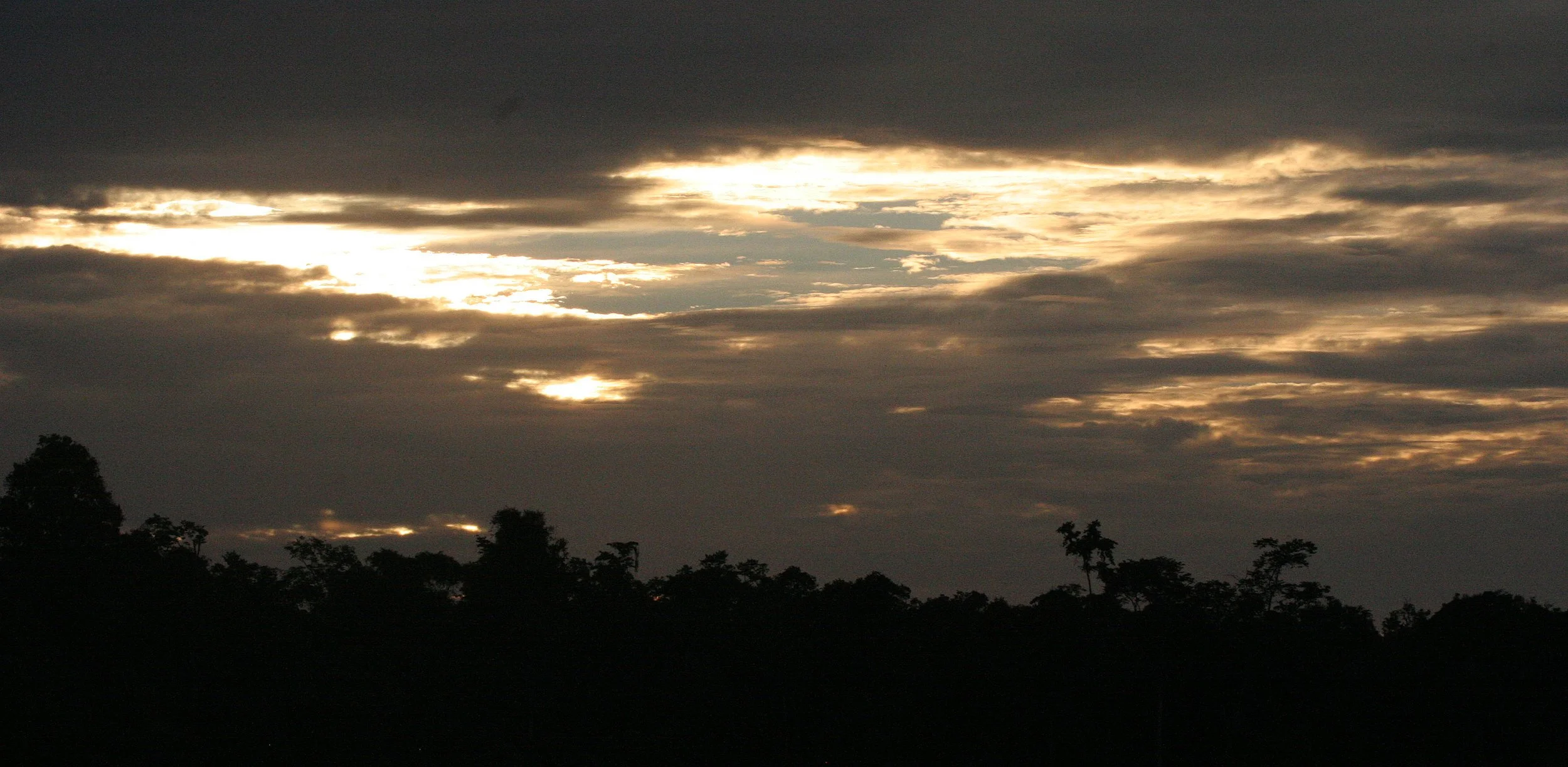 KINABATANGAN RIVER BORNEO - SUNSET SPECTACULAR (4).JPG