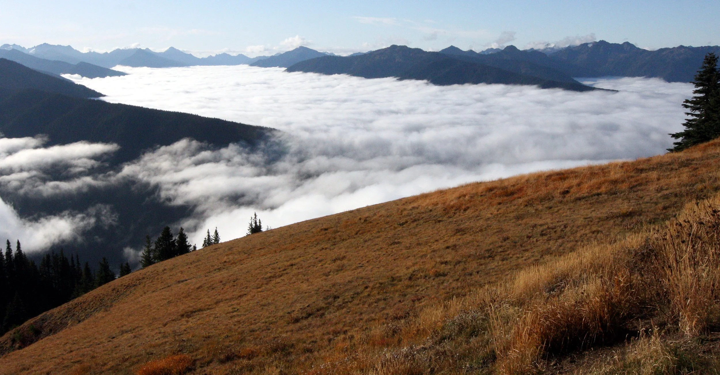 HURRICANE RIDGE - VIEWS OF CLOUDS RESEMBLING GLACIERS (8).JPG
