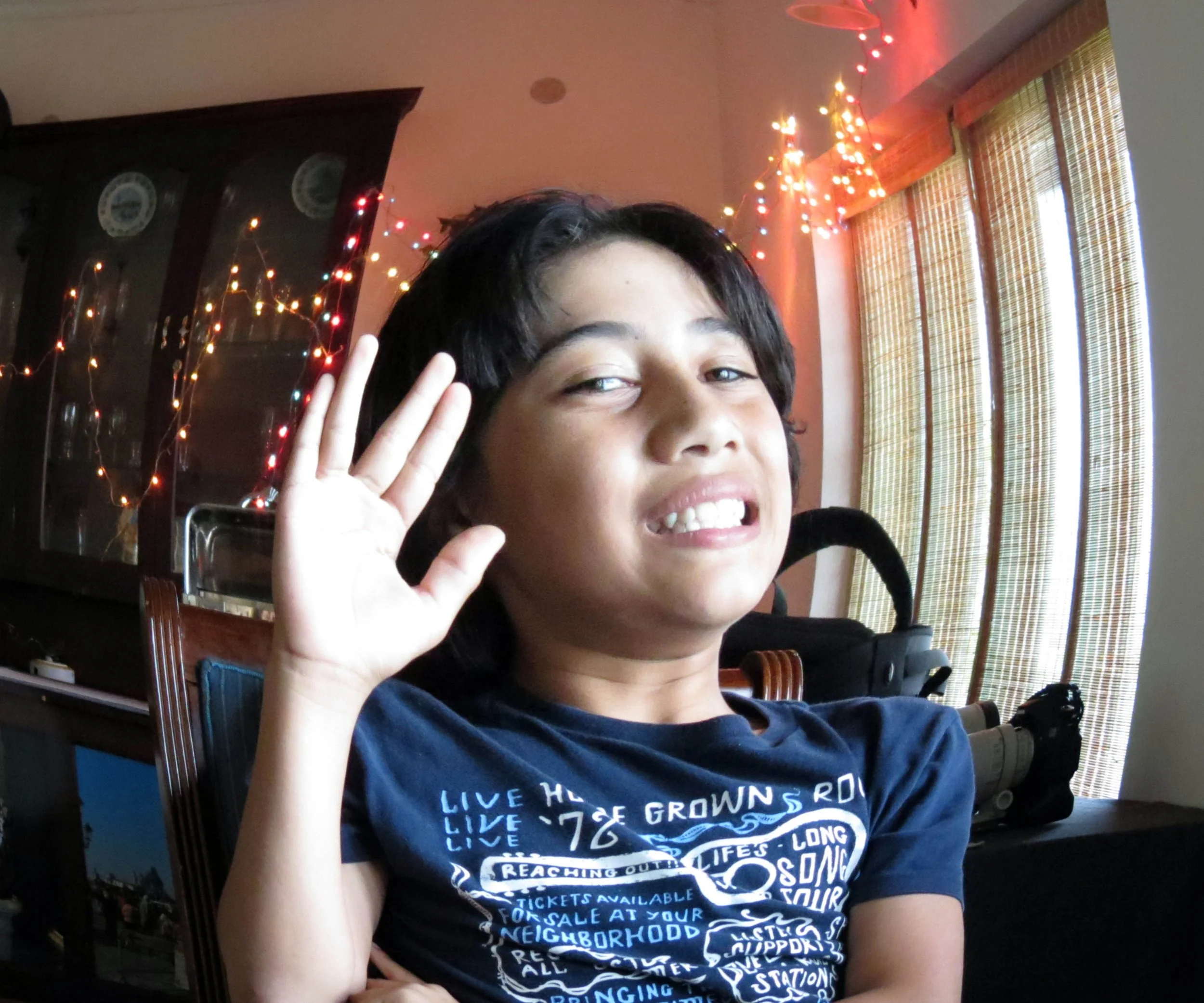 PAMPADUM SHOLA NATIONAL PARK INDIA - VATTAVADA (15).JPG