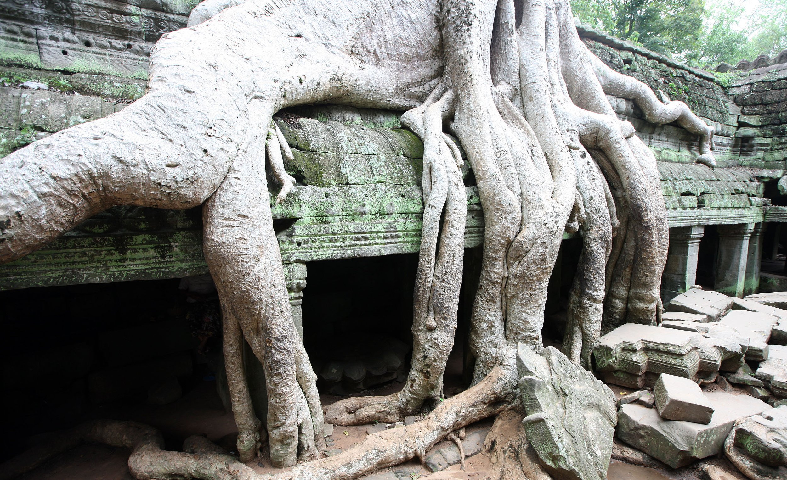 TA PROHM TEMPLE CAMBODIA - JULY 2010 (21).JPG