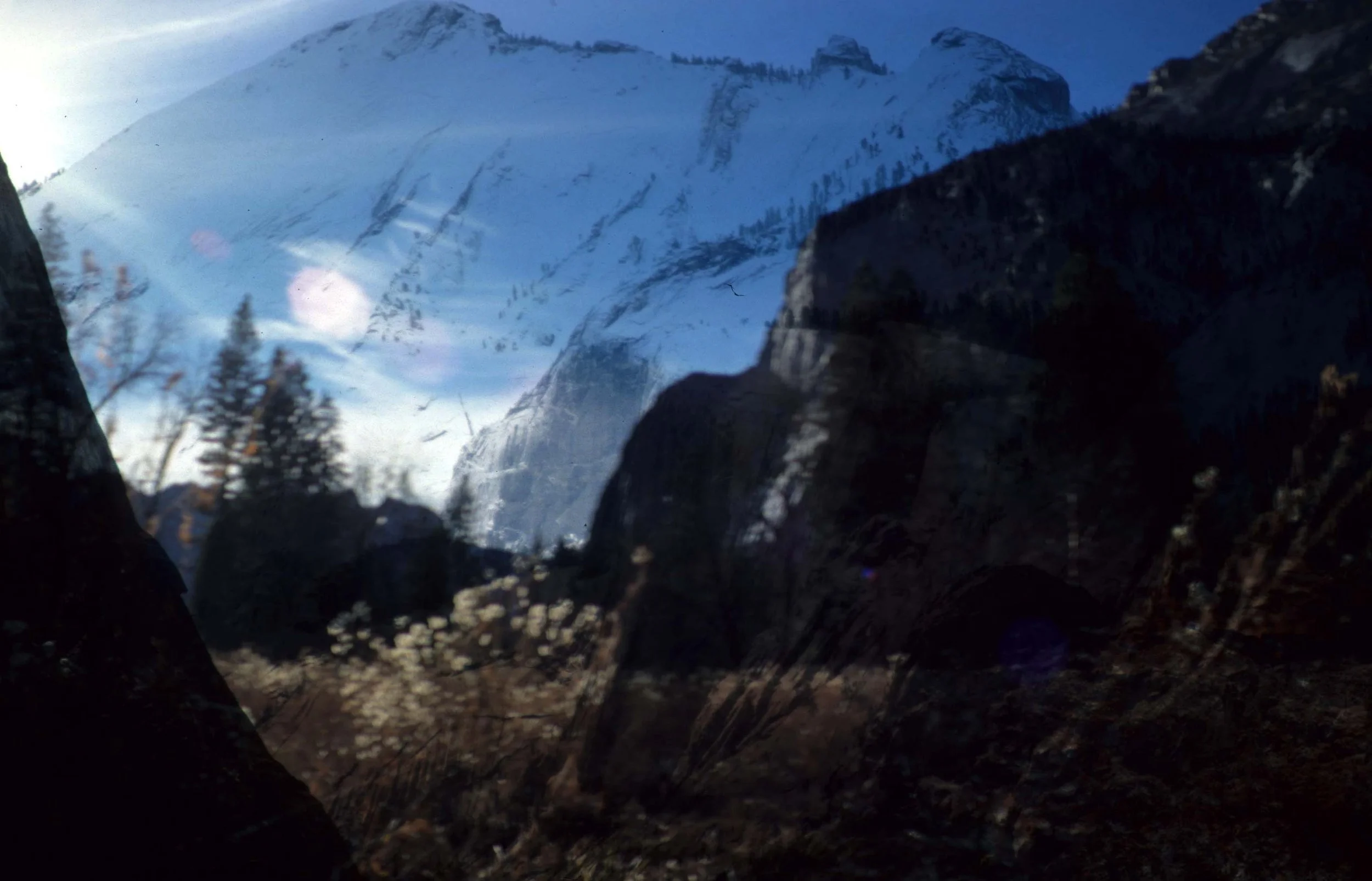 CALIFORNIA - YOSEMITE NP  (17).jpg