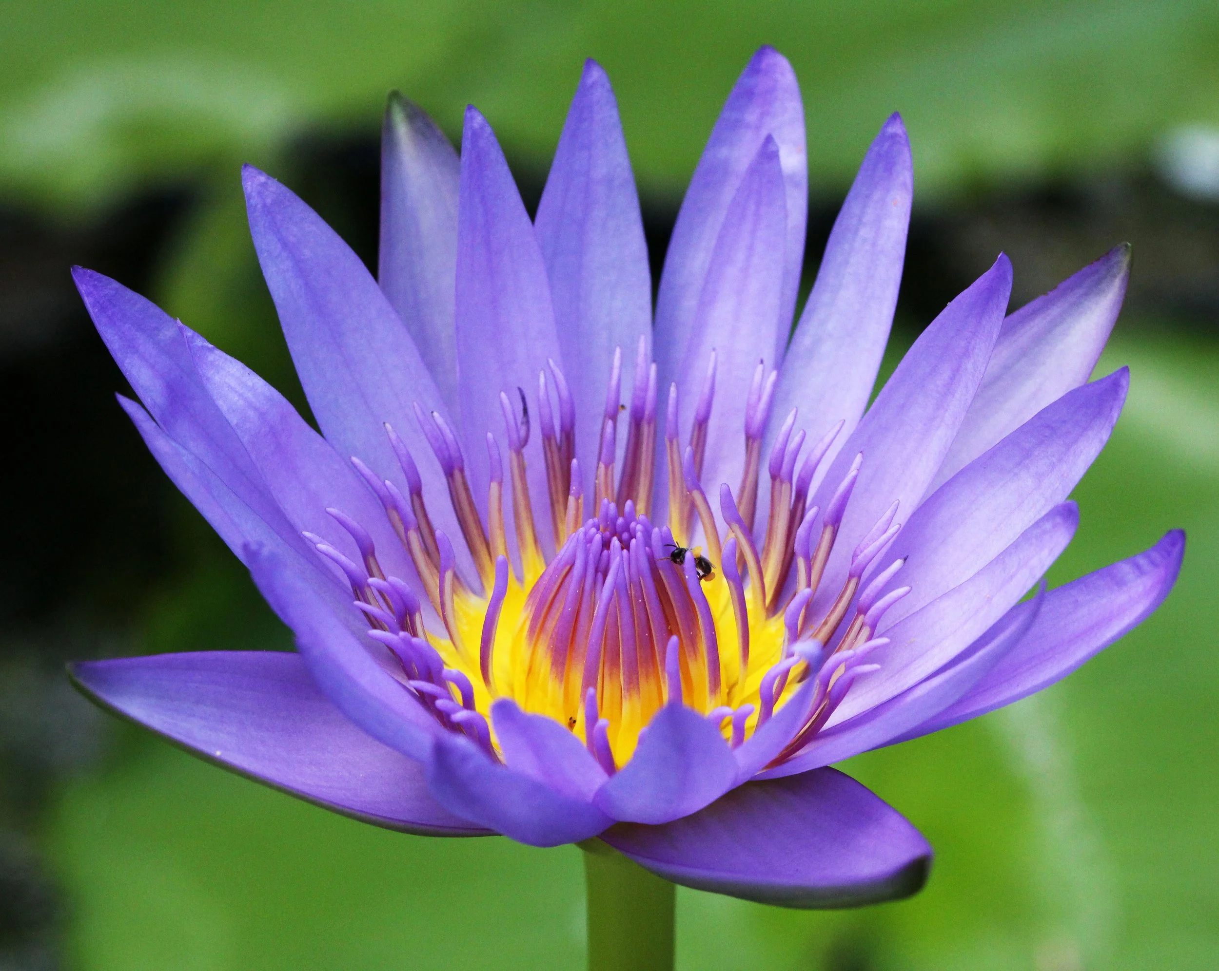 2013 Cha'am and Petchaburi with Family & Friends (114).JPG