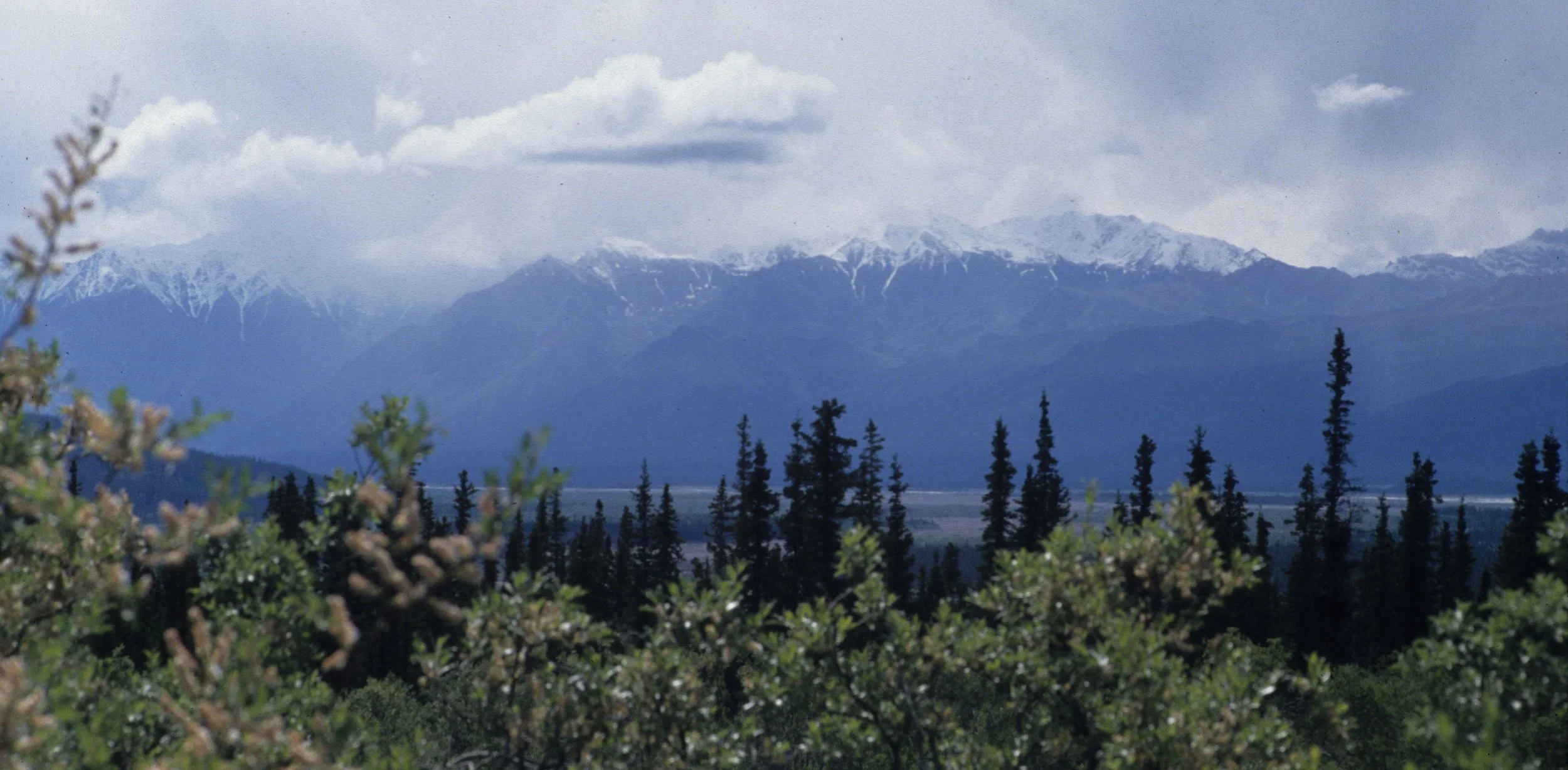 ALASKA - WRANGELL SAINT ELIAS NP B.jpg