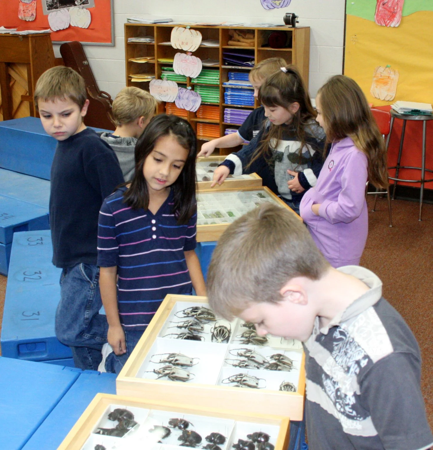 2008-11-21 BUG DAY IN COKIES CLASS (2).JPG