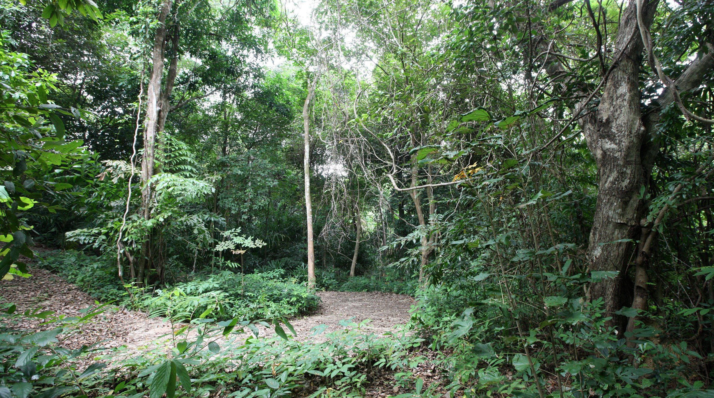 LANTA ISLAND - OUR PROPERTY - WINTER 2011 (43).JPG