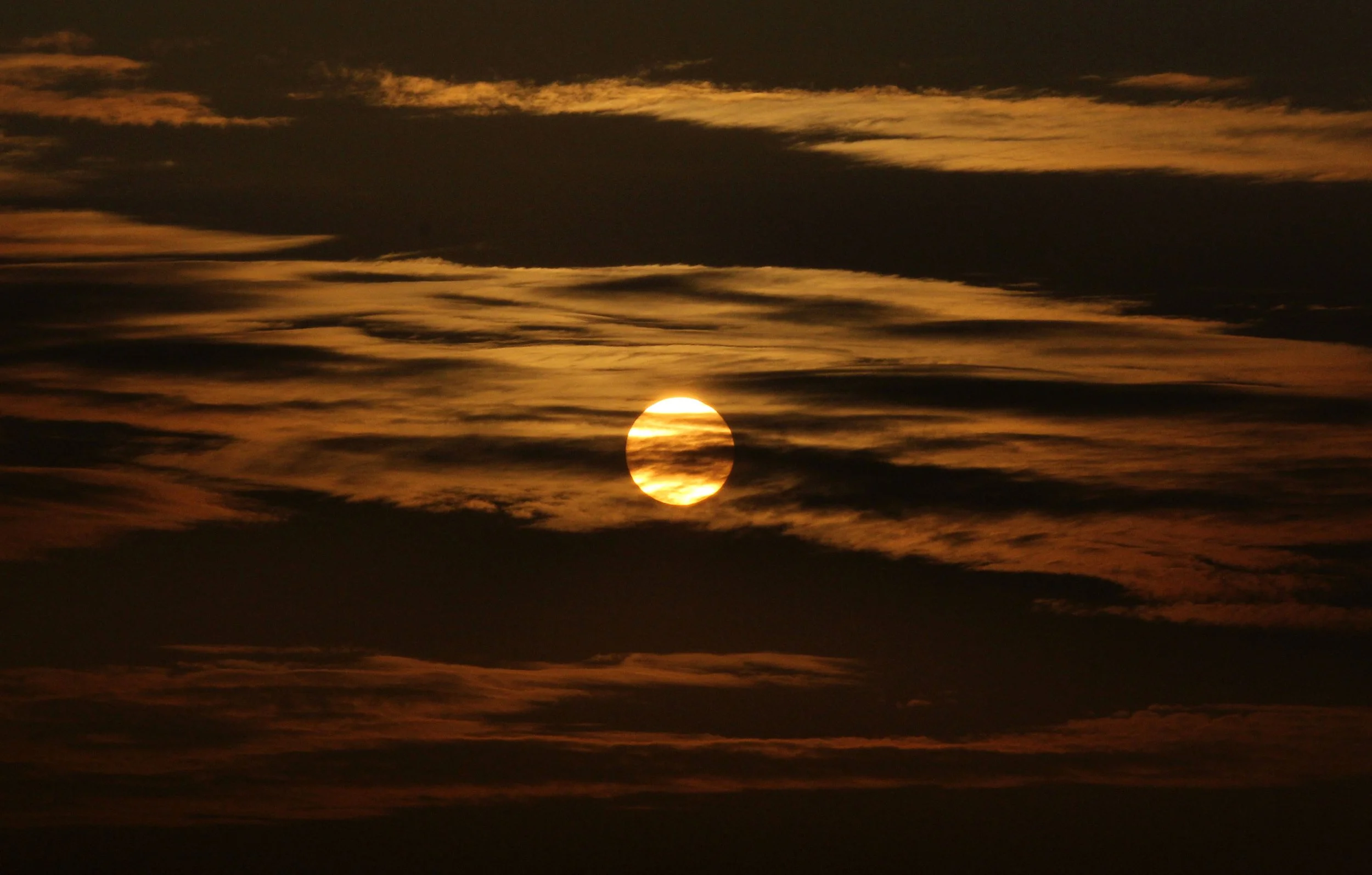 BUS RIDE TO SAS - DECEMBER 2012 (28).JPG