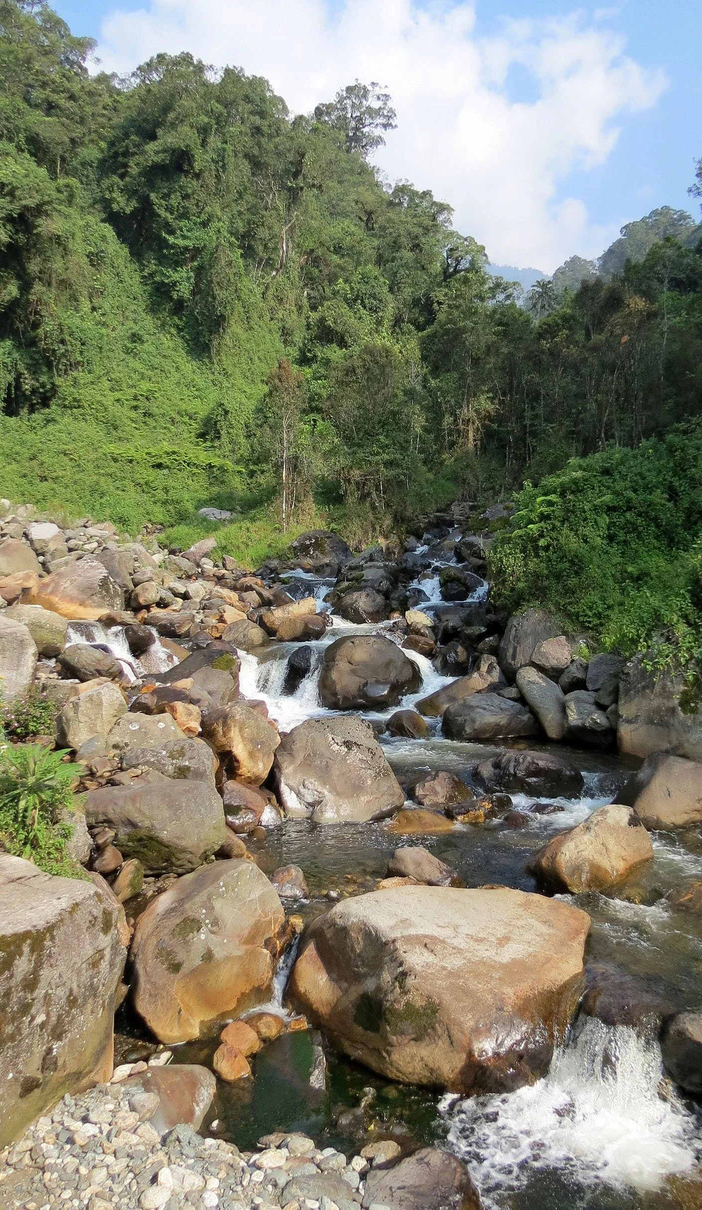 RWENZORI NATIONAL PARK UGANDA (85).JPG