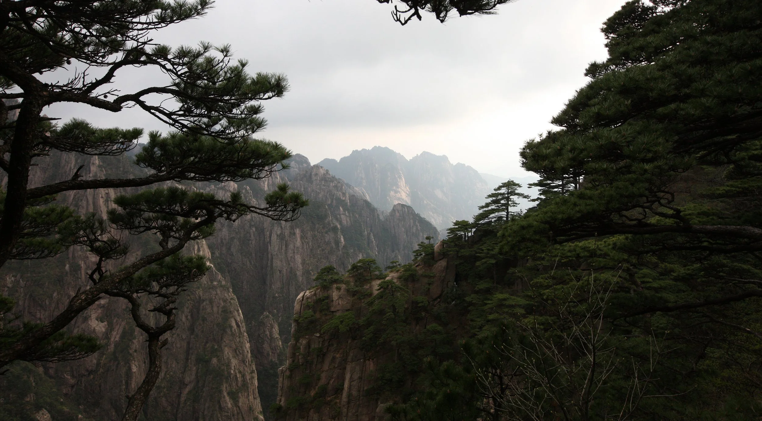 HUANGSHAN NATIONAL PARK ANHUI PROVINCE CHINA (150).JPG