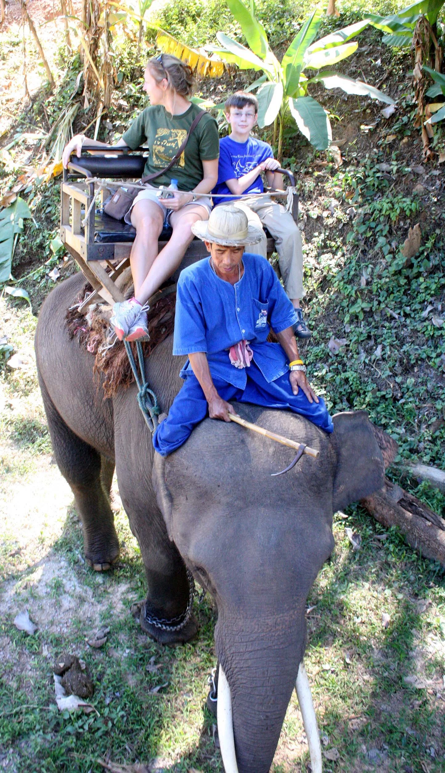 2008 Lampang City & Elephant Center (40).JPG