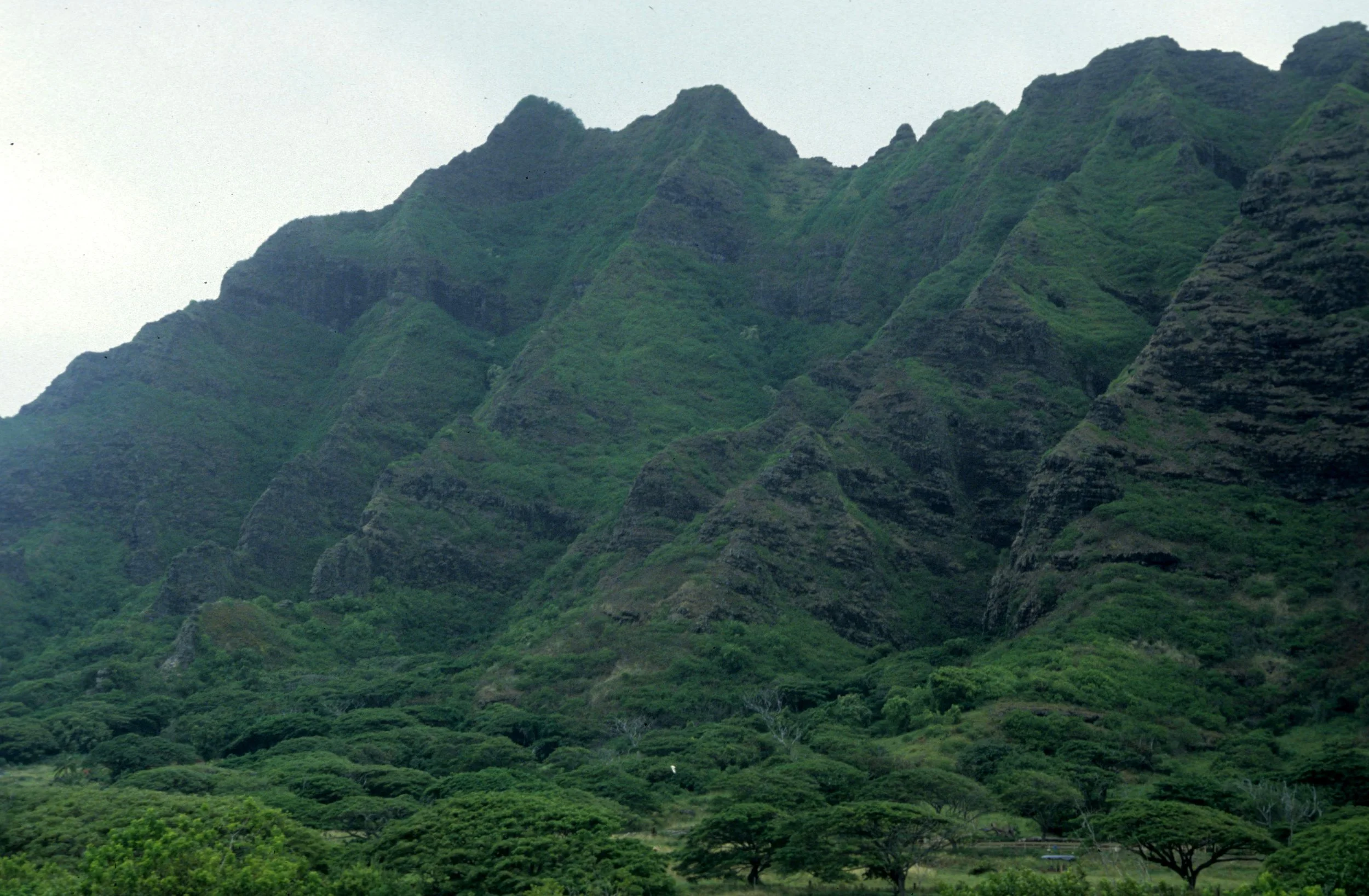 HAWAII - OAHU - PALI SIDE OF ISLAND.jpg