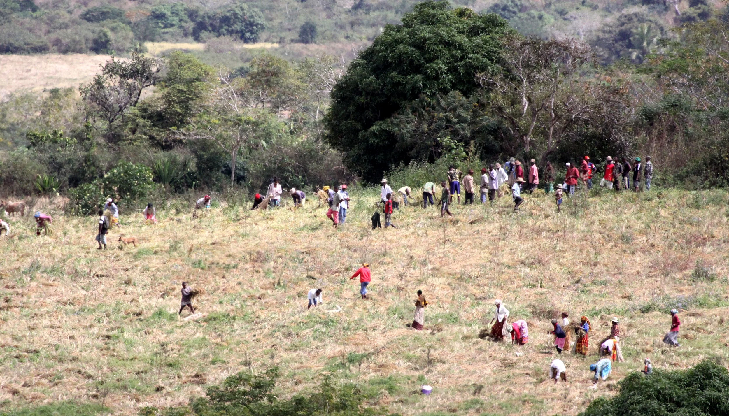 ANKARANA NATIONAL PARK MADAGASCAR - SCENES NEAR THE RESERVE (5).JPG