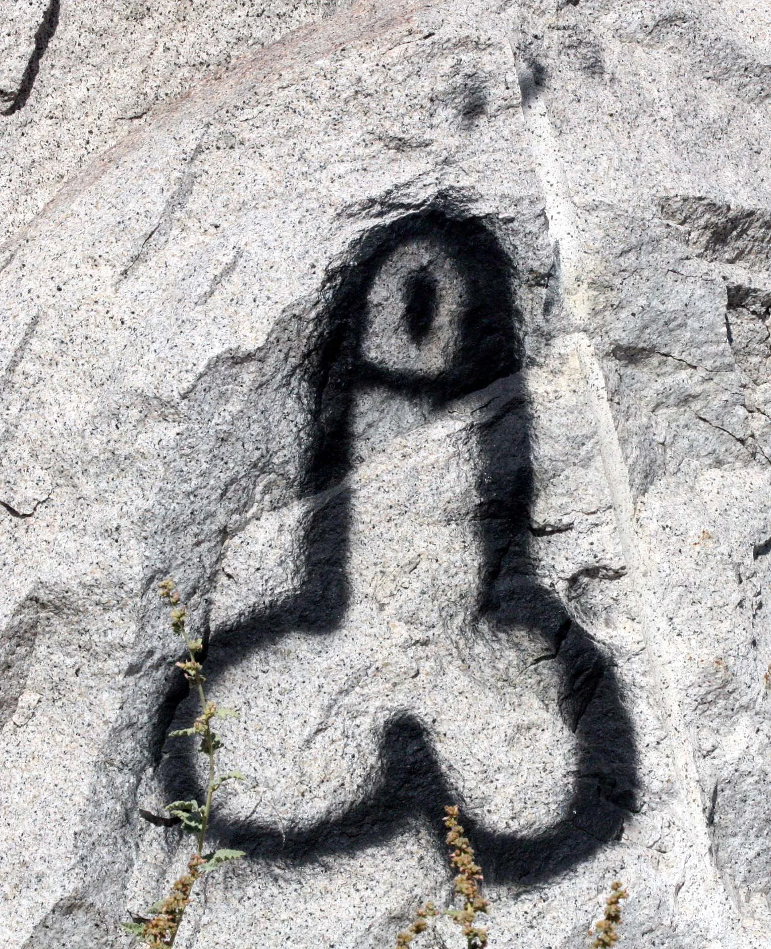 CATAVINA DESERT - GRAFFITI.JPG