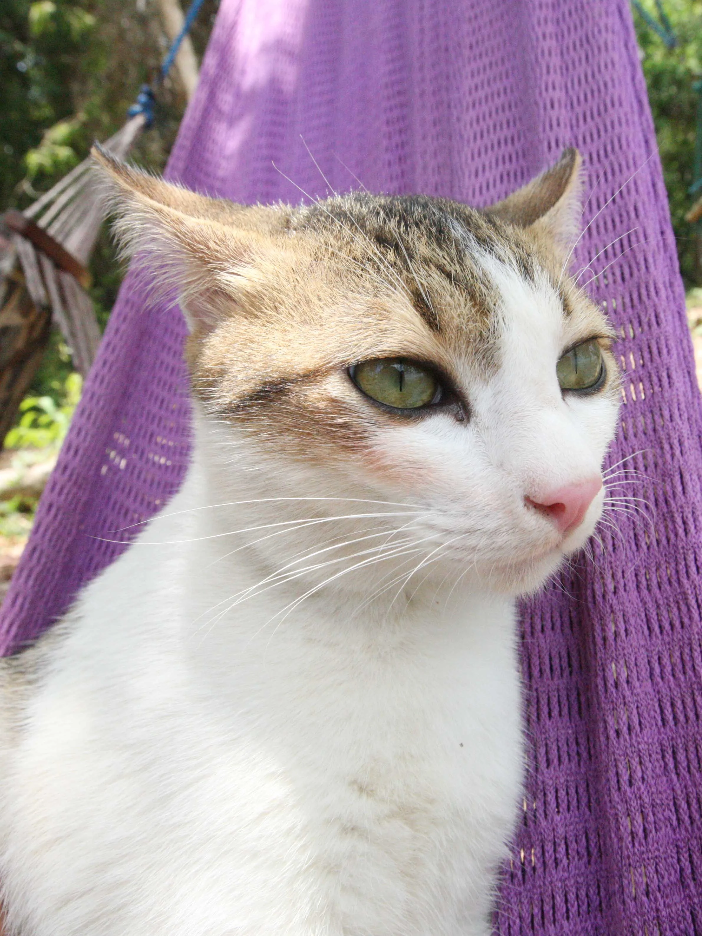 2015 Koh Lanta Songkran with friends from ISB (277).JPG