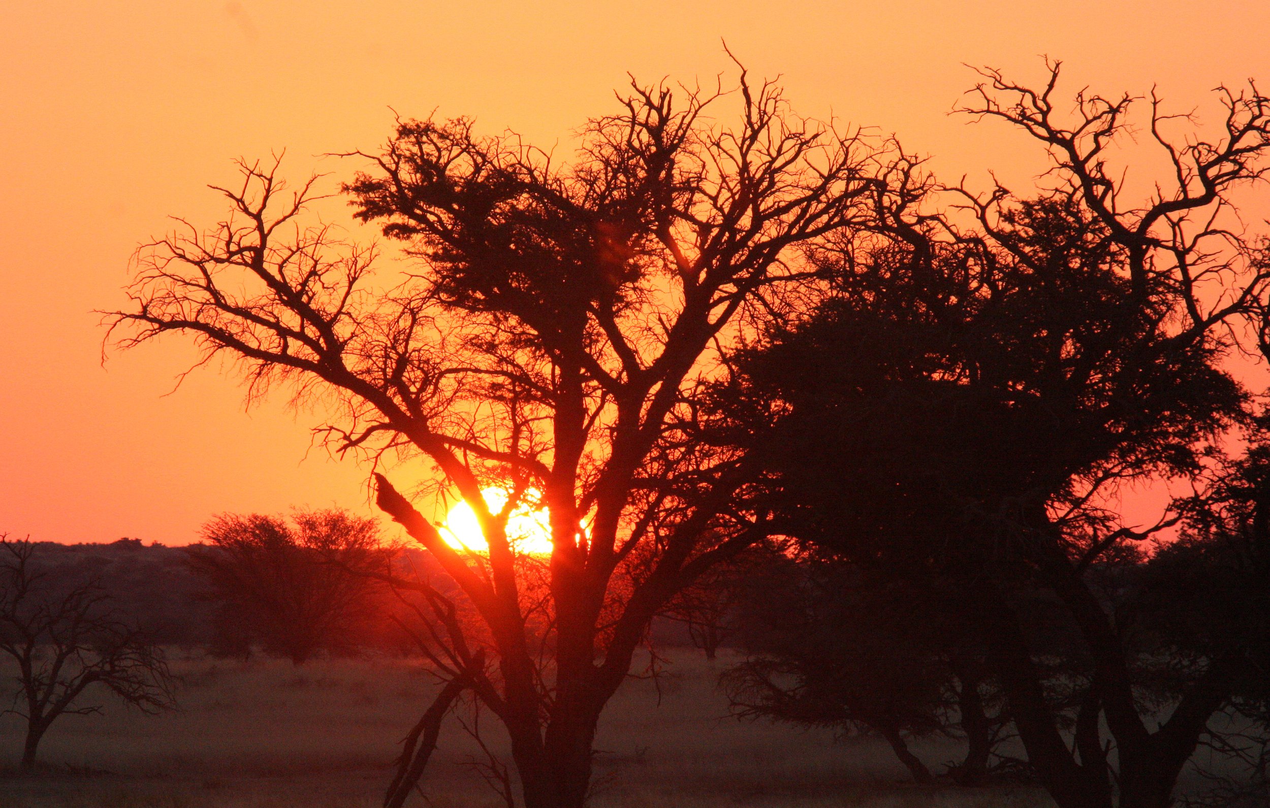 KALAHARI GEMSBOK NP - SUNSET ON THE KALAHARI (5).JPG