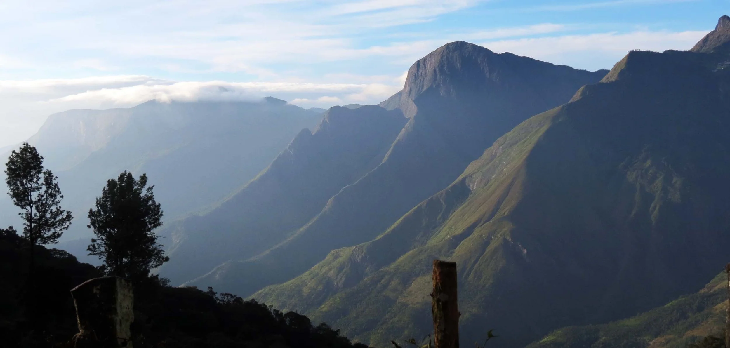 PAMPADUM SHOLA NATIONAL PARK INDIA - VATTAVADA (71).JPG