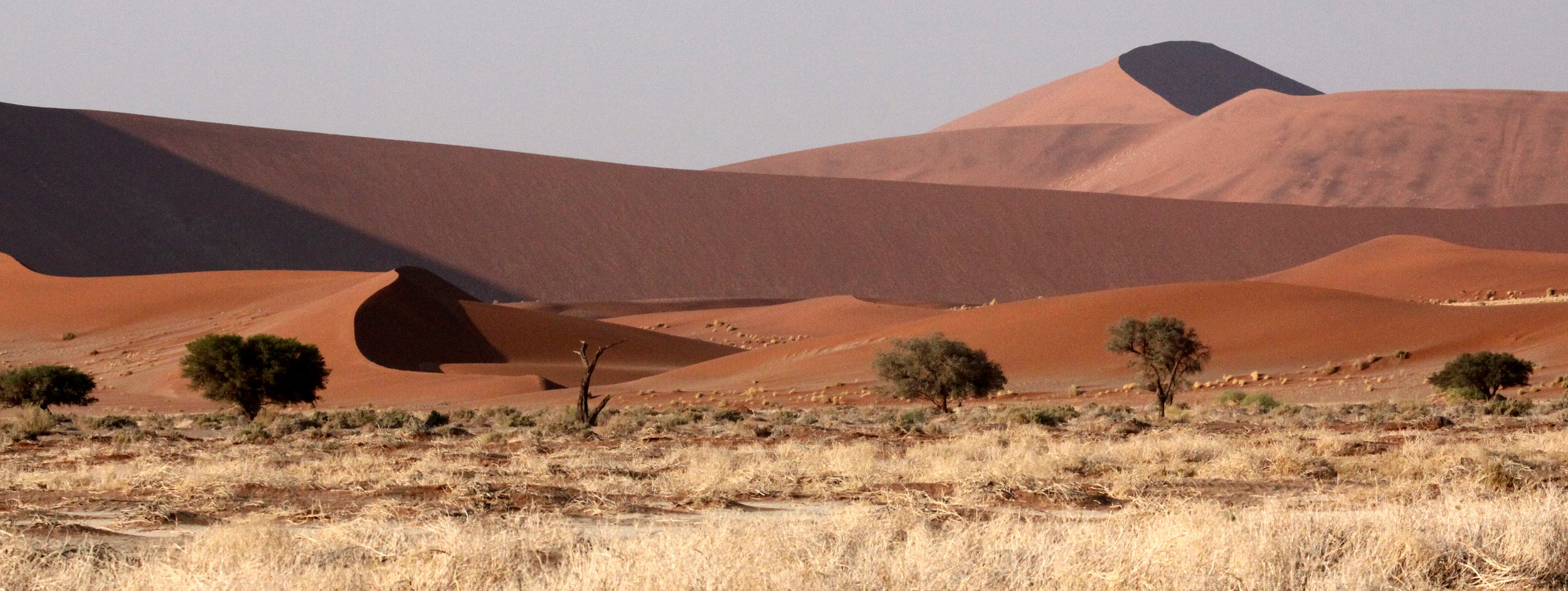 SOSSUSVLEI, NAMIB NAUKLUFT NATIONAL PARK, NAMIBIA (8).JPG