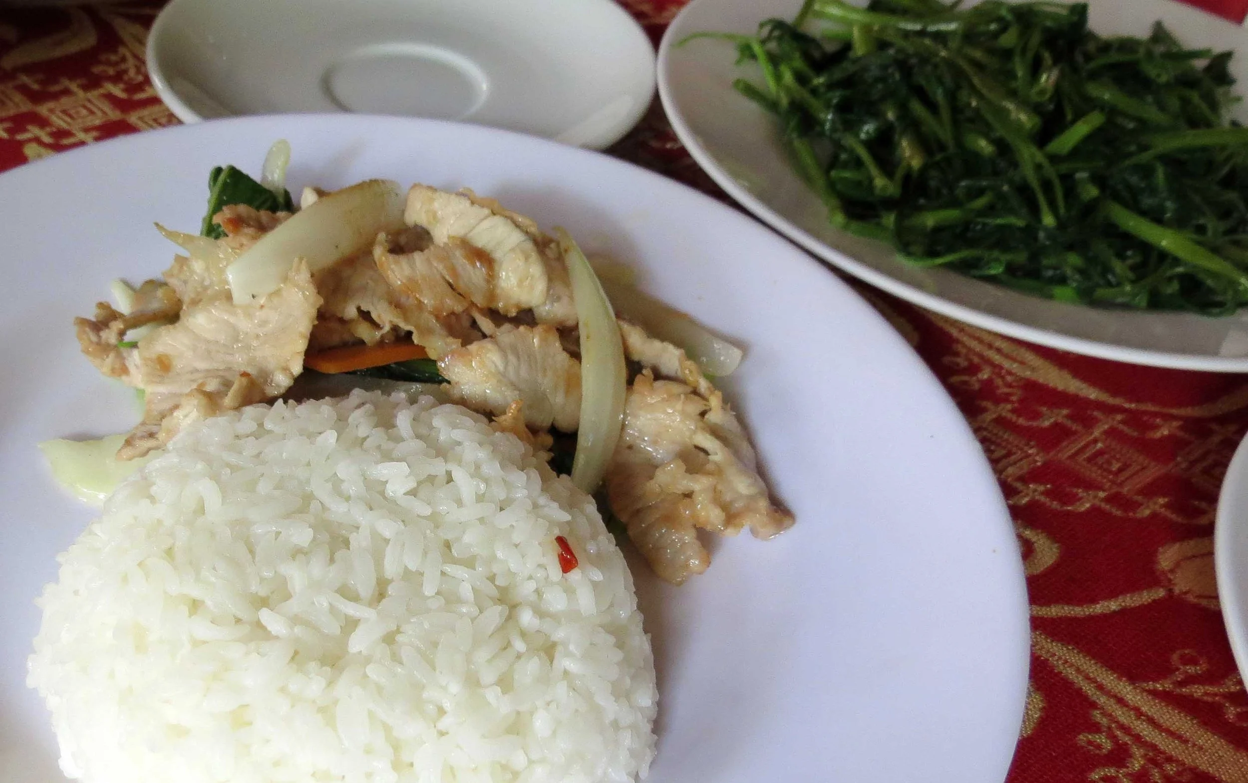 CAT TIEN NATIONAL PARK VIET NAM (48).JPG