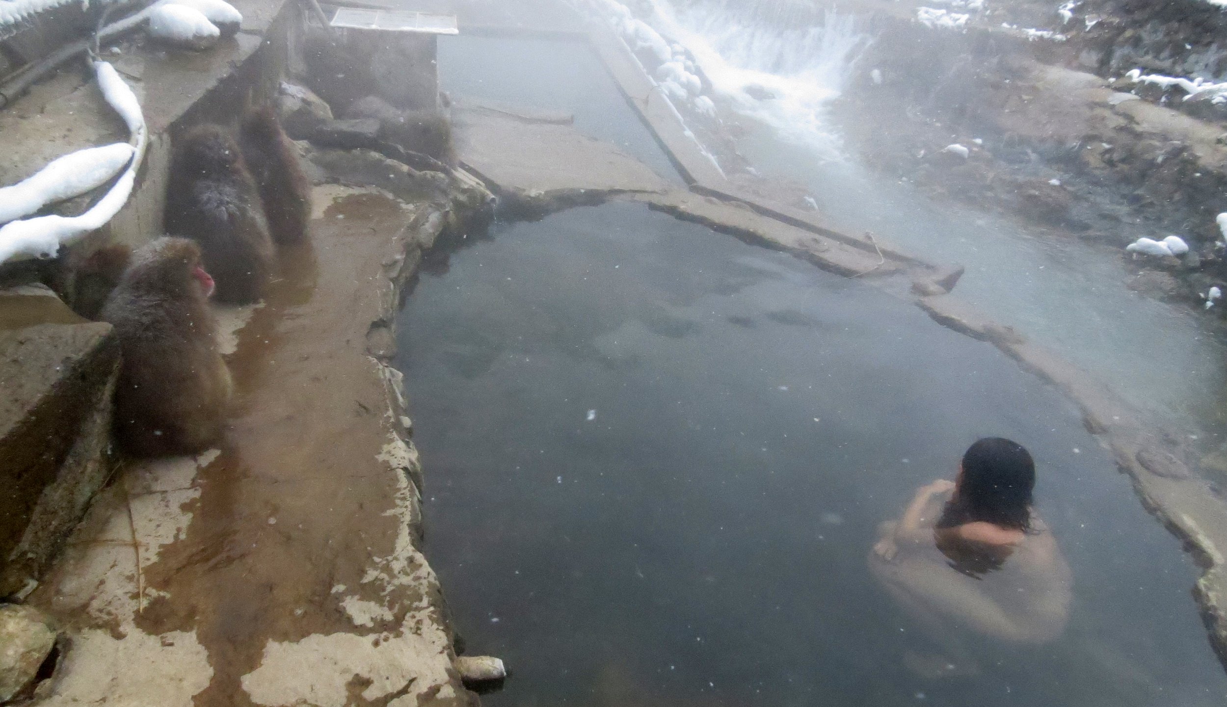 JIGOKUDANI ONSEN - KORAKUKAN RYOKAN - NAGANO PREFECTURE JAPAN (54).JPG