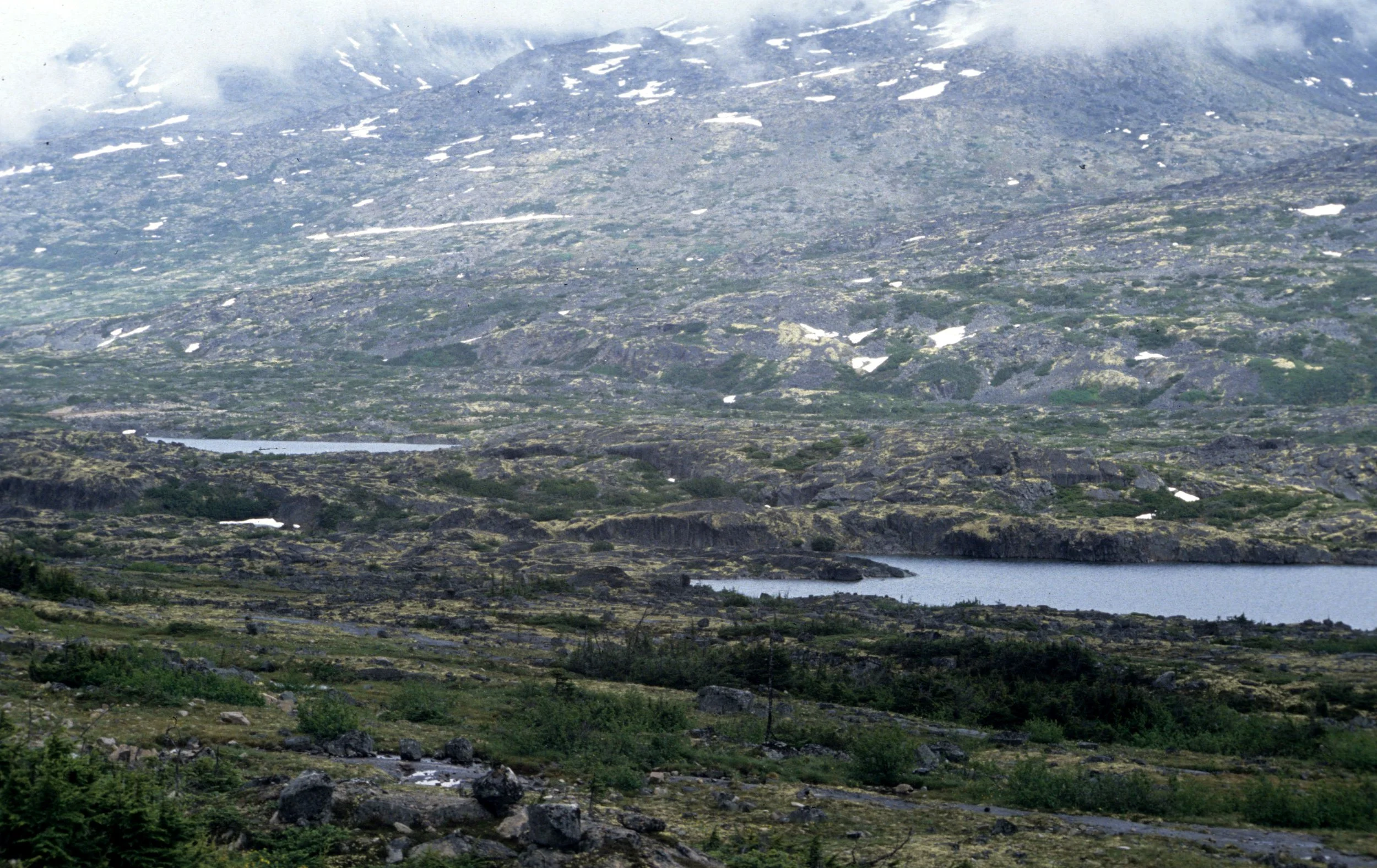 YUKON - TUNDRA BIOME.jpg