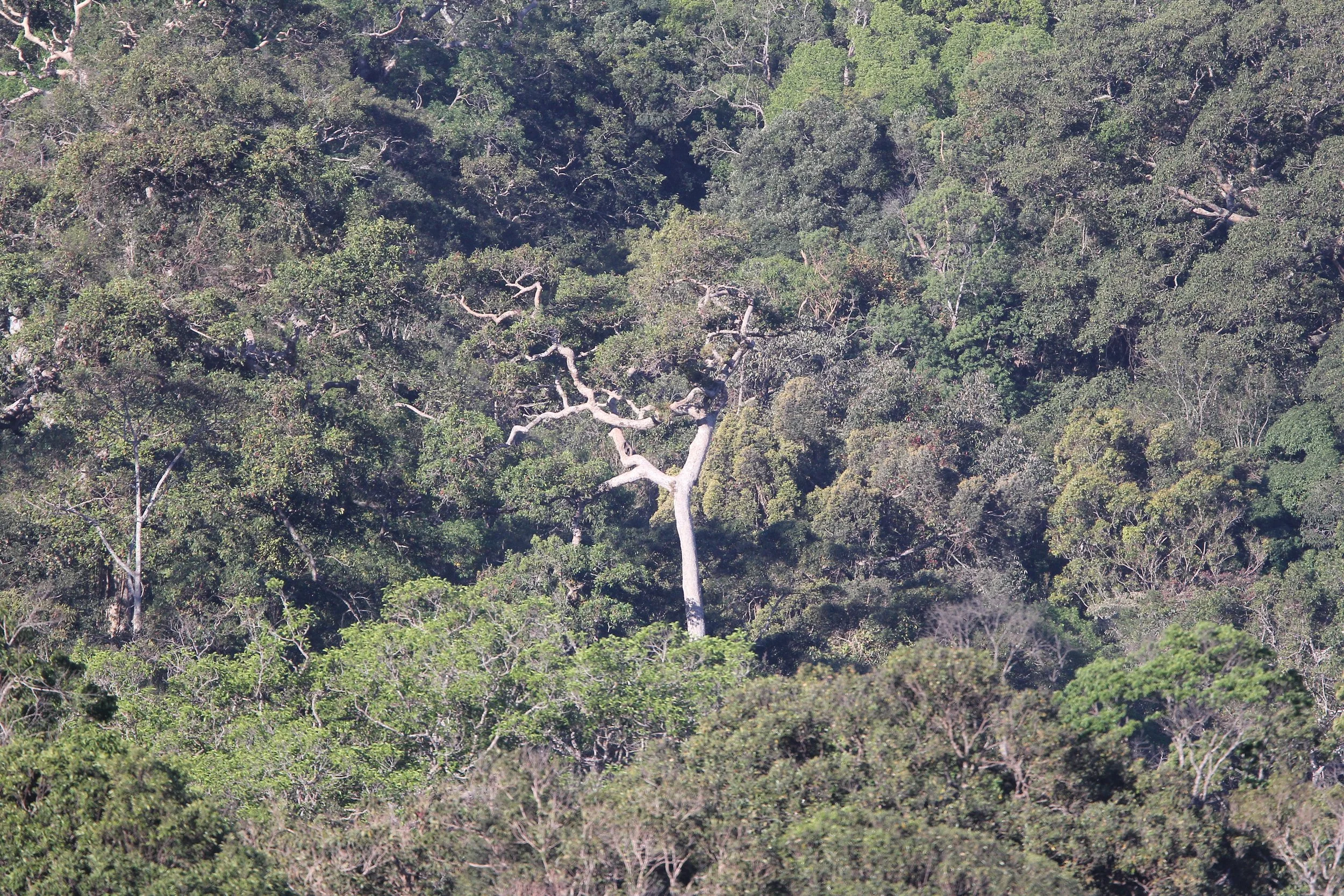 2019 Khao Yai Camping Trip (49).JPG
