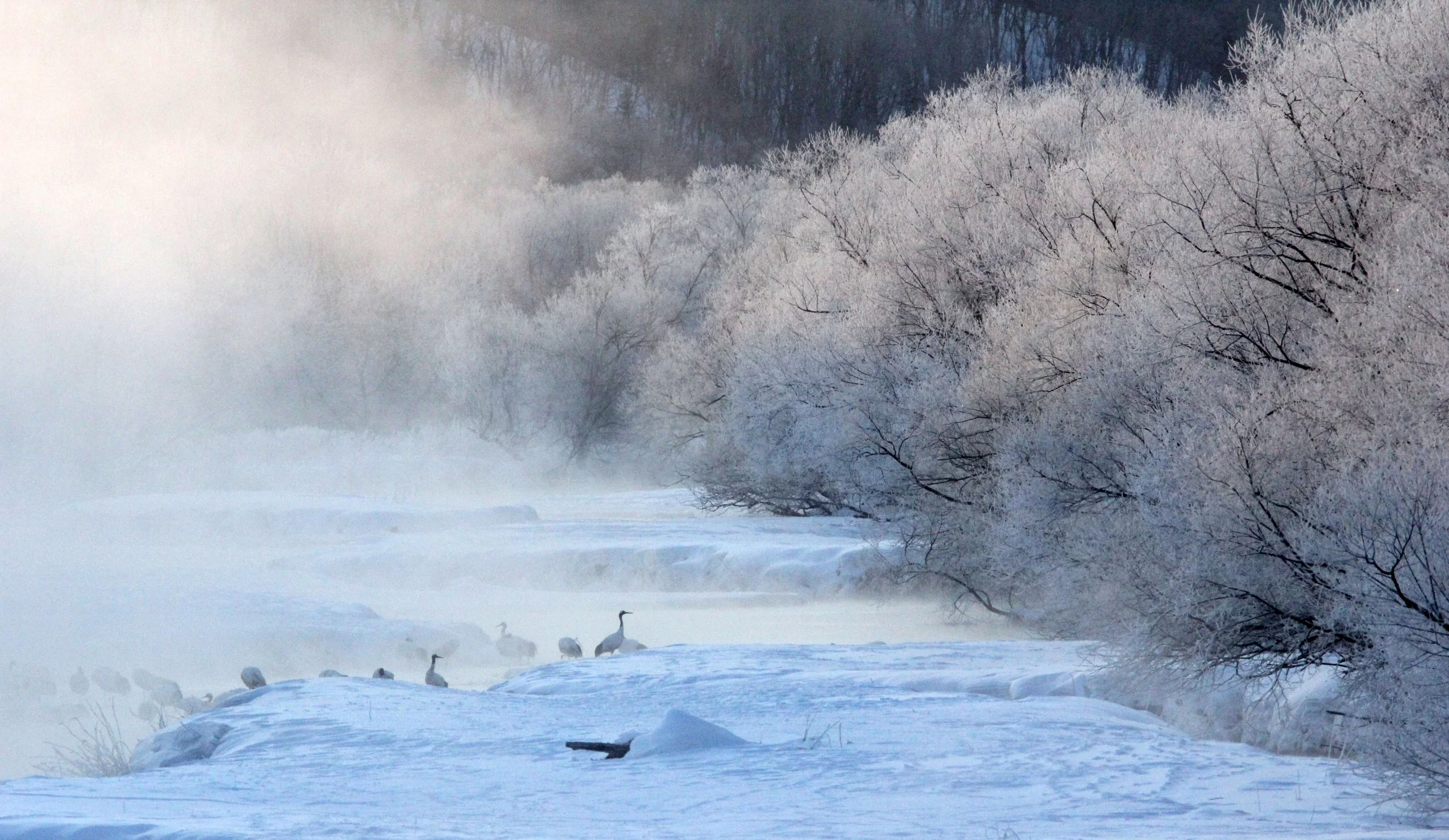 OTOWABASHI SETSUGAWA - TSURUI TOWN - HOKKAIDO JAPAN (31).JPG