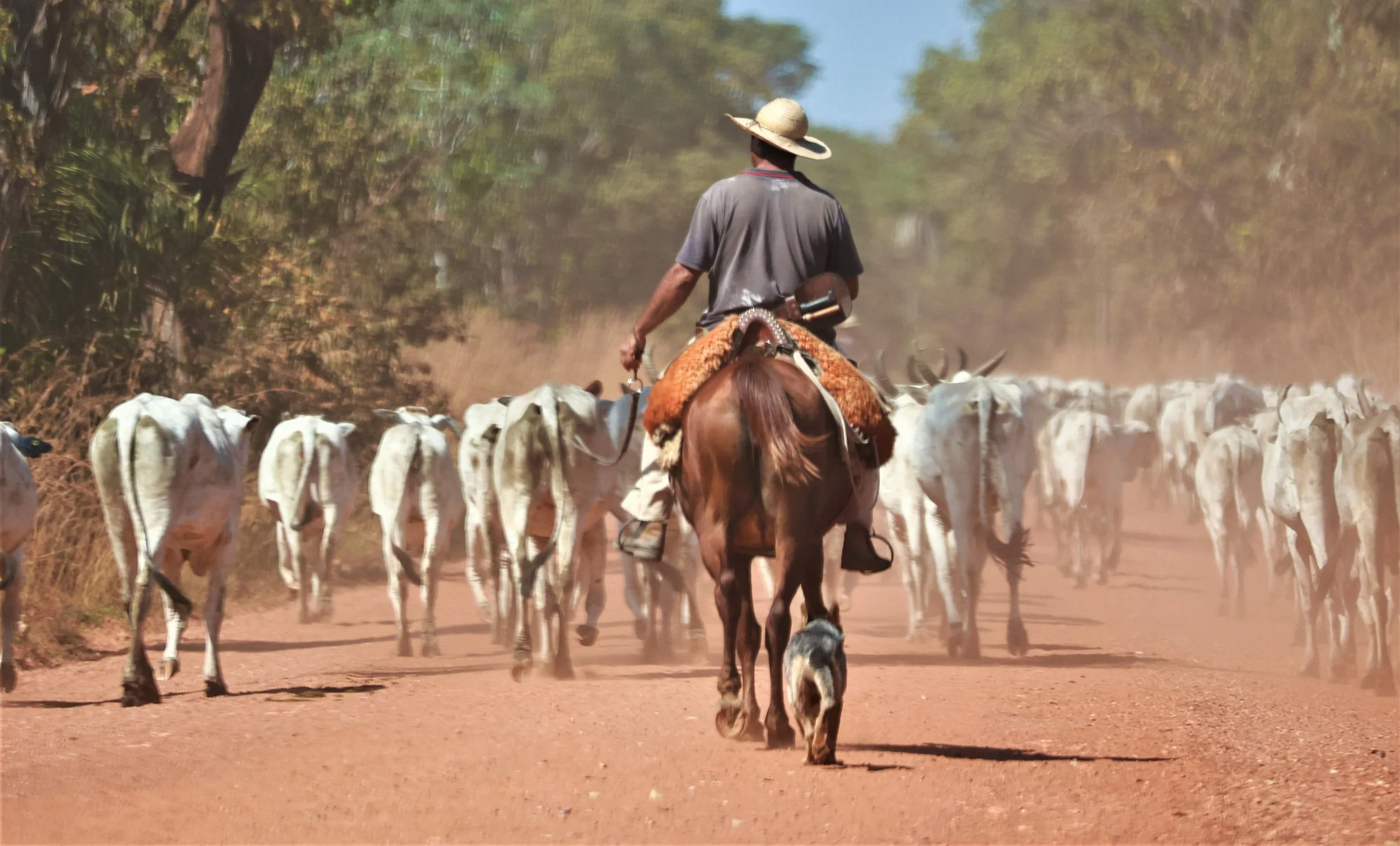 Pousada Aguape, Mato Grosso do Sul  (6).JPG