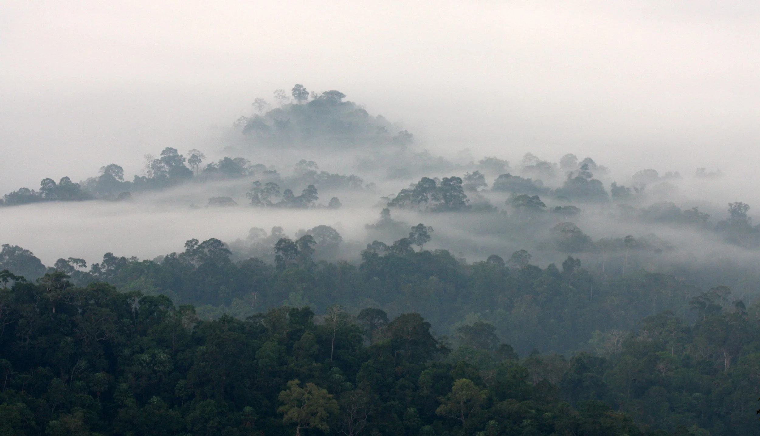 KAENG KRACHAN NATIONAL PARK THAILAND - THALE MOG (8).JPG