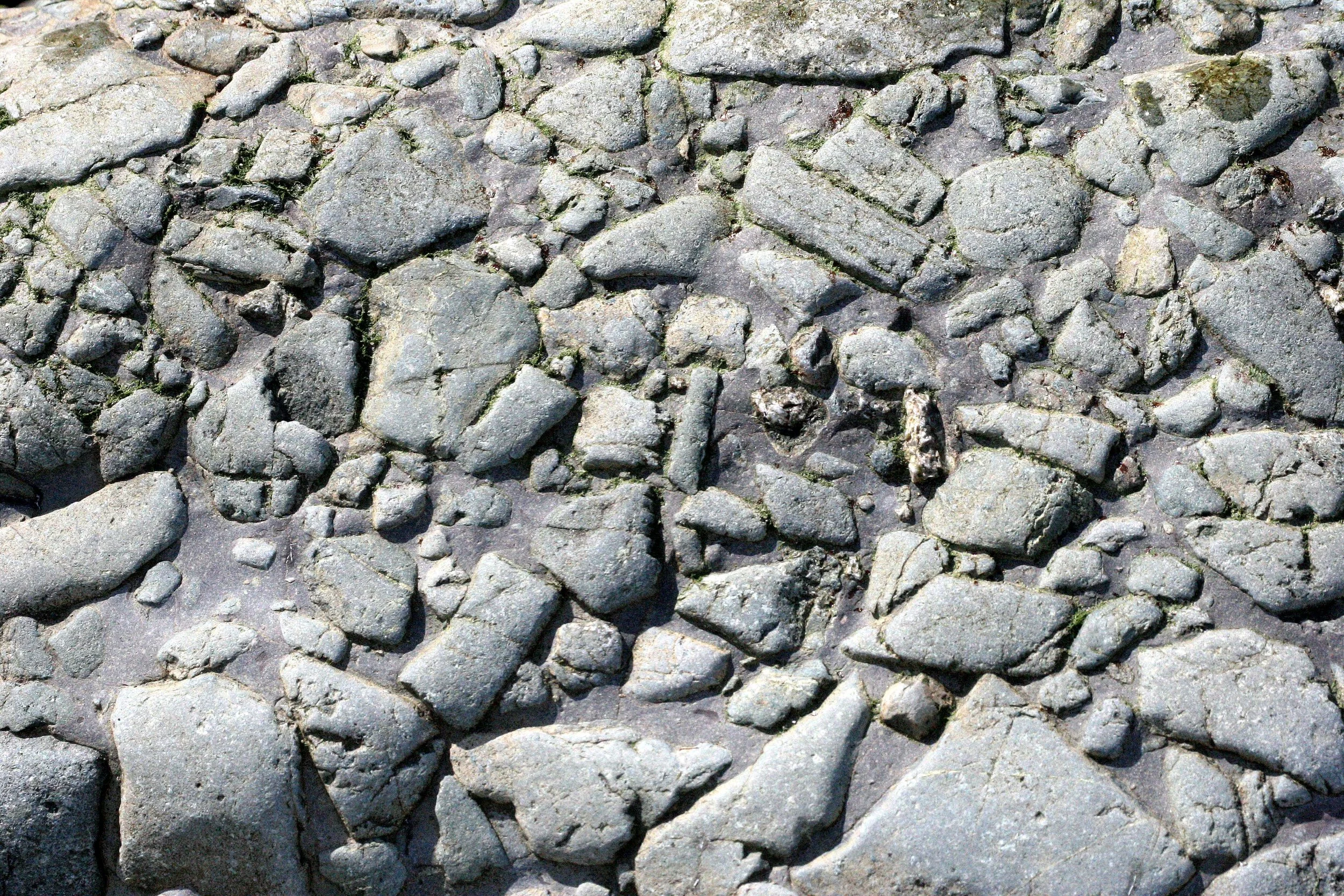 GEOLOGY - CONGLOMERATE ON LAKE FARM BEACH TRAIL.JPG