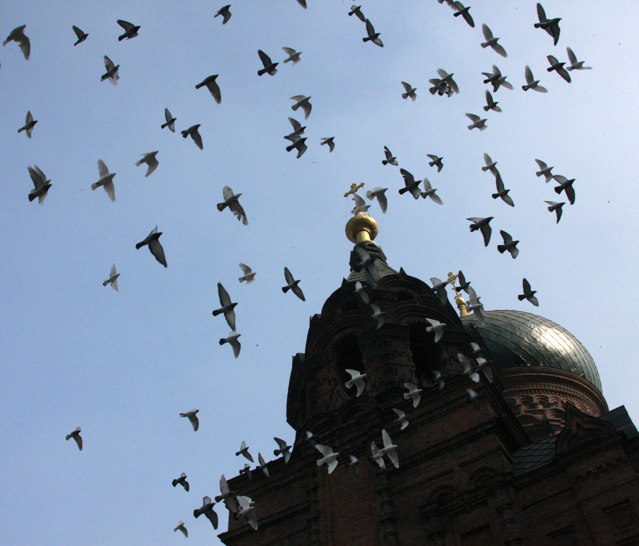 SAINT SOPHIA'S CATHEDRAL HARBIN CHINA (86).JPG