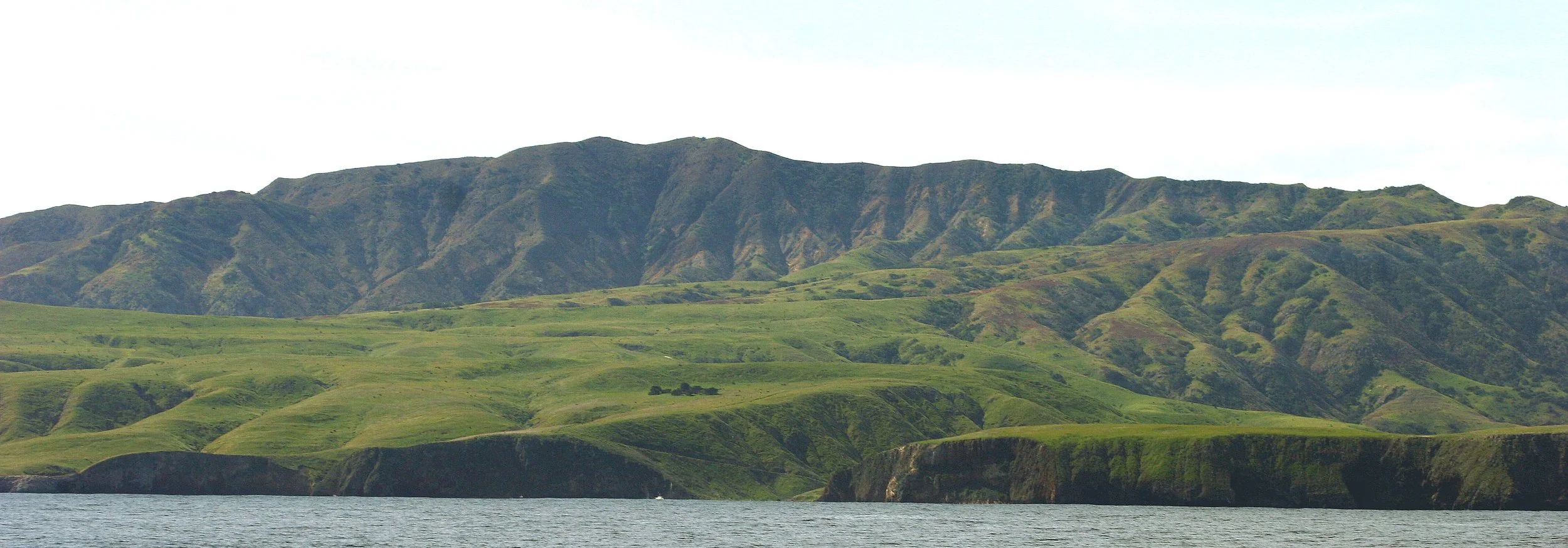 CALIFORNIA - CHANNEL ISLANDS NP - SANT CRUZ ISLAND (6).jpg