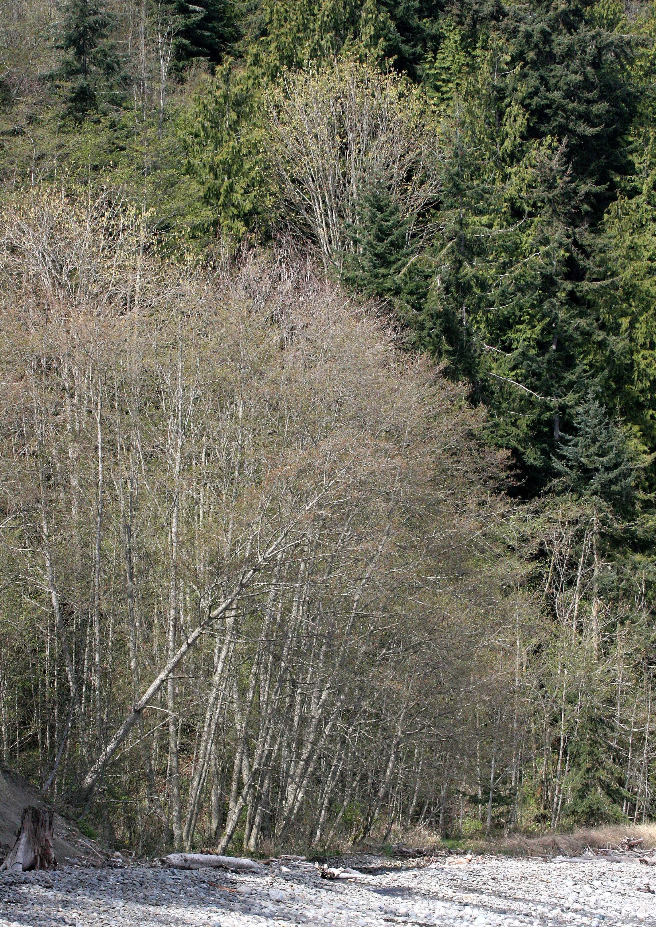 LAKE FARM BEACH BAGLEY CREEK OUTFLOW.JPG