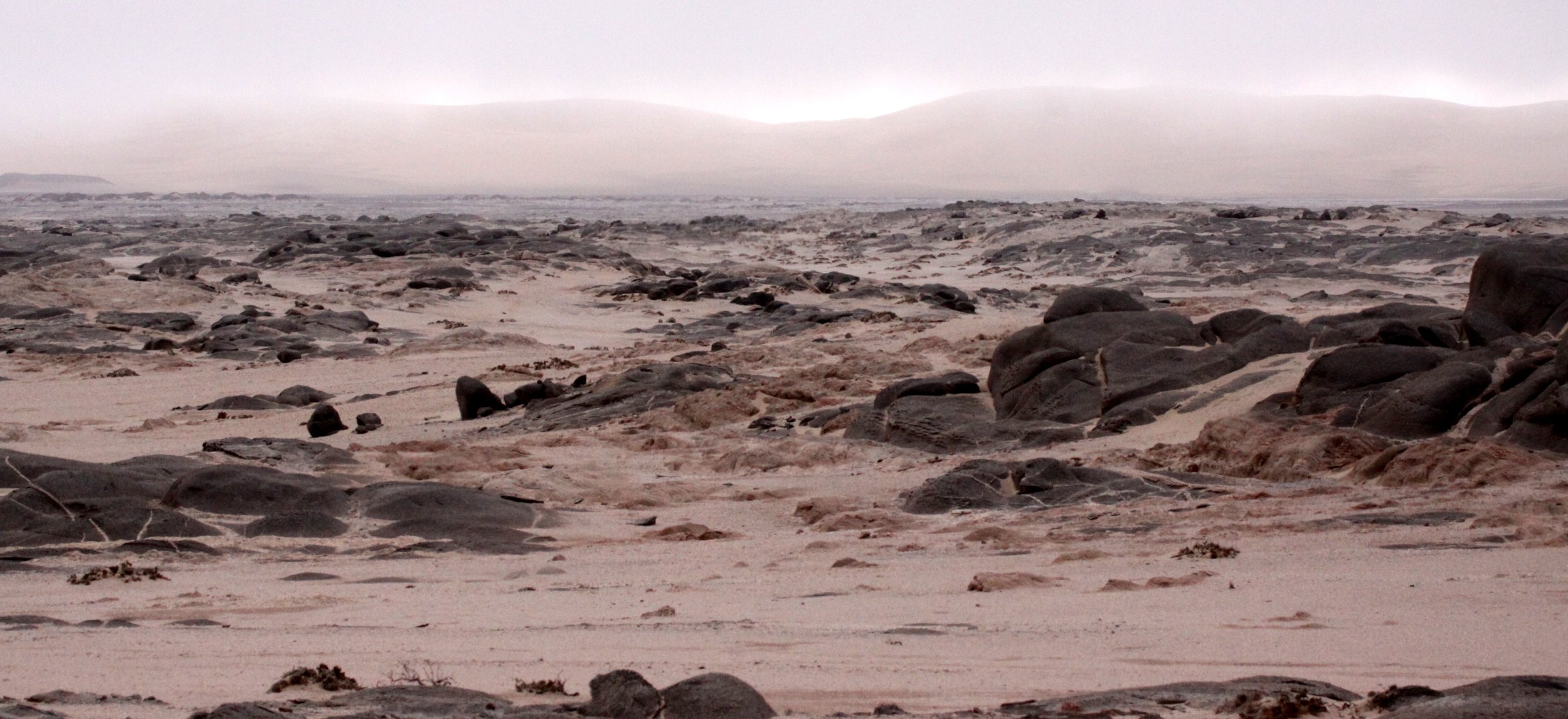 NAMIBIA - SKELETON COAST NATIONAL PARK - SCENERY (18).JPG