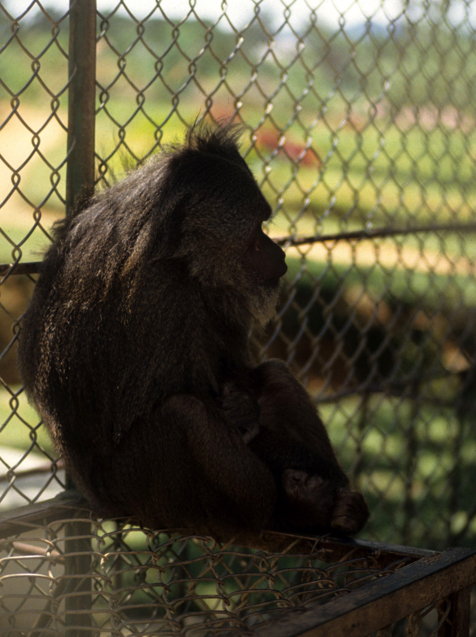DALAT - POACHERS HOUSE (8).jpg