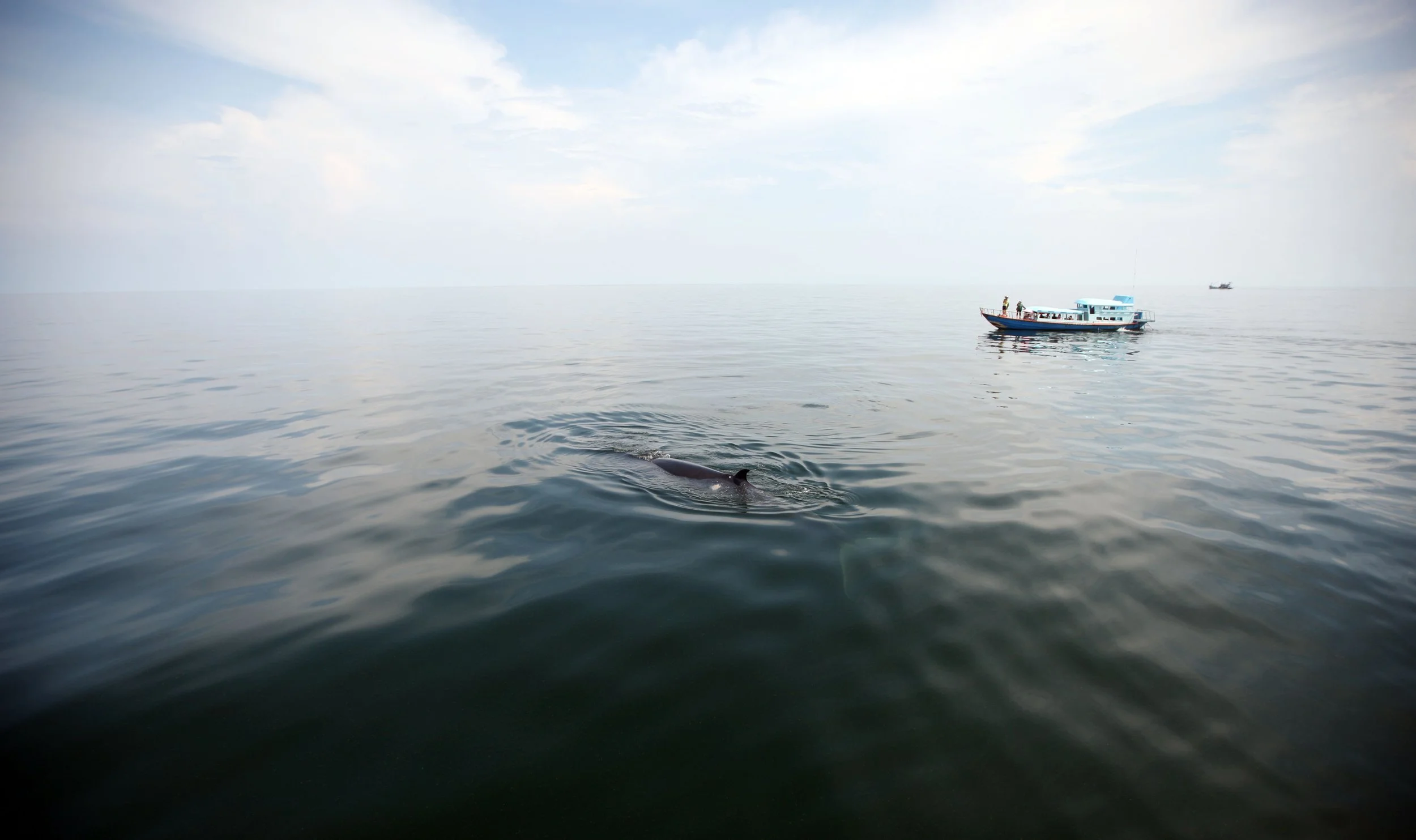 2014 Amphawa Trip to See Whales from Baan Taboon (50).JPG
