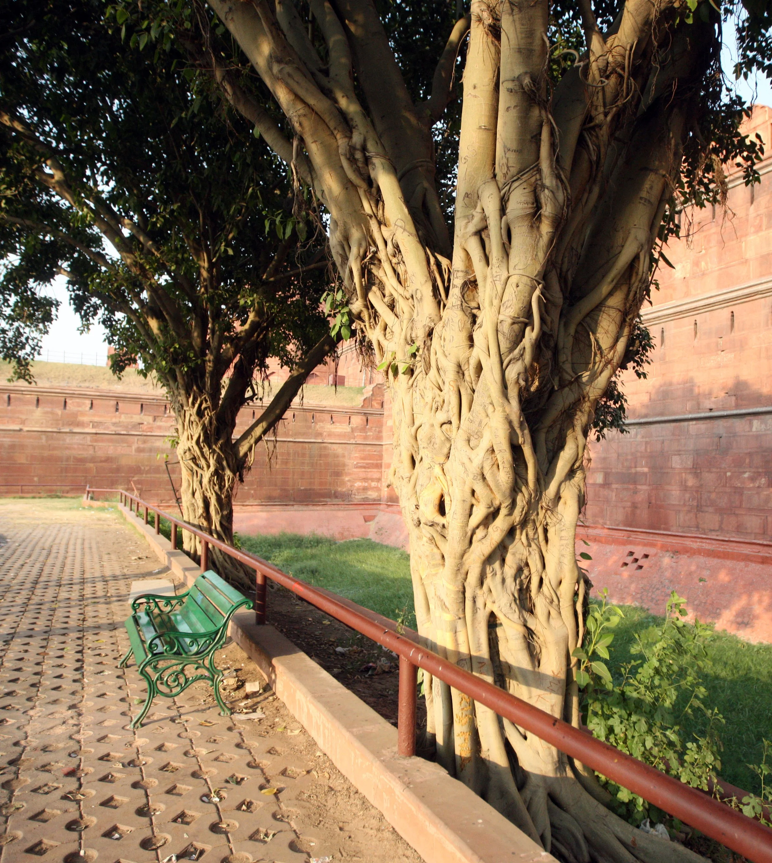 OLD DELHI INDIA - SNOW LEOPARD TRIP 2014 (41).JPG