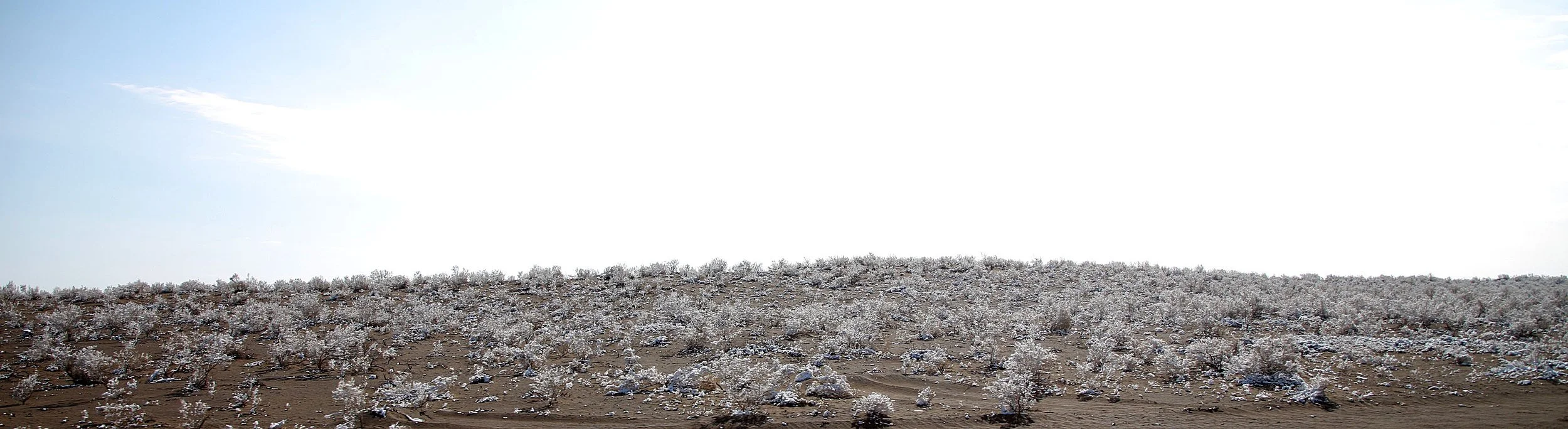 KARAMORI NATIONAL NATURE RESERVE - XINJIANG CHINA (41).JPG