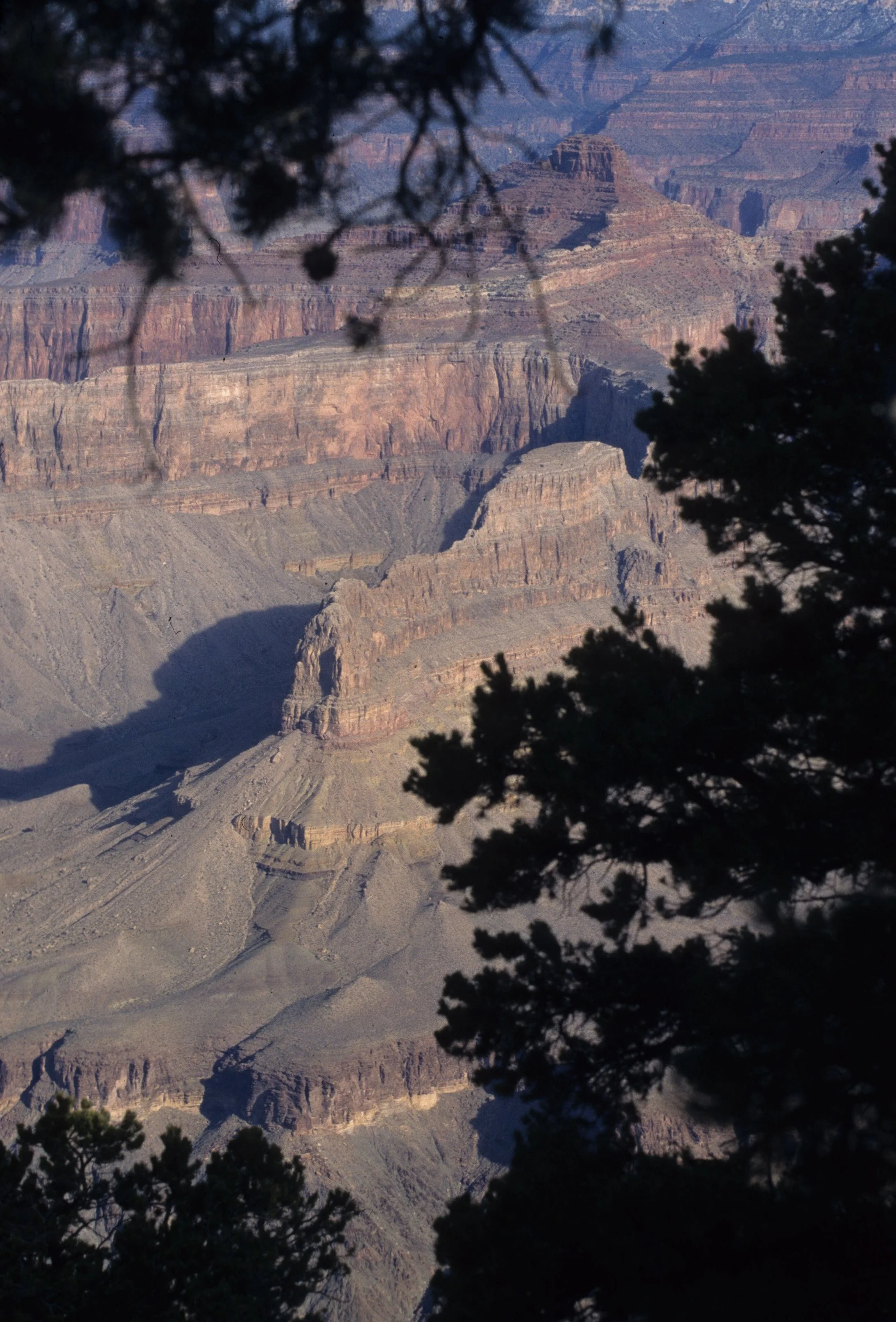 ARIZONA - GRAND CANYON - SOUTH RIM VIEW G.jpg